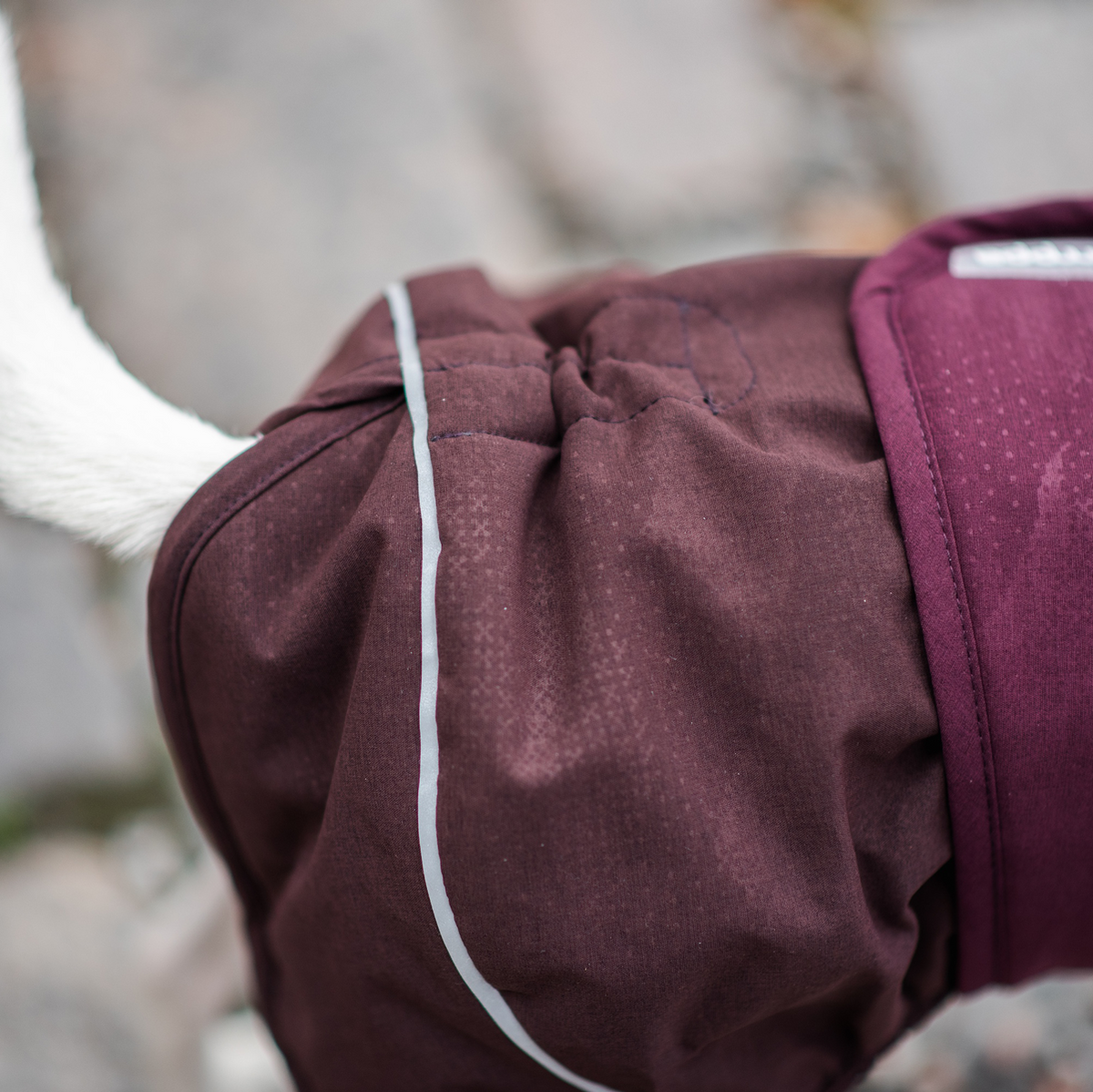 ArcticPomppa Maroon