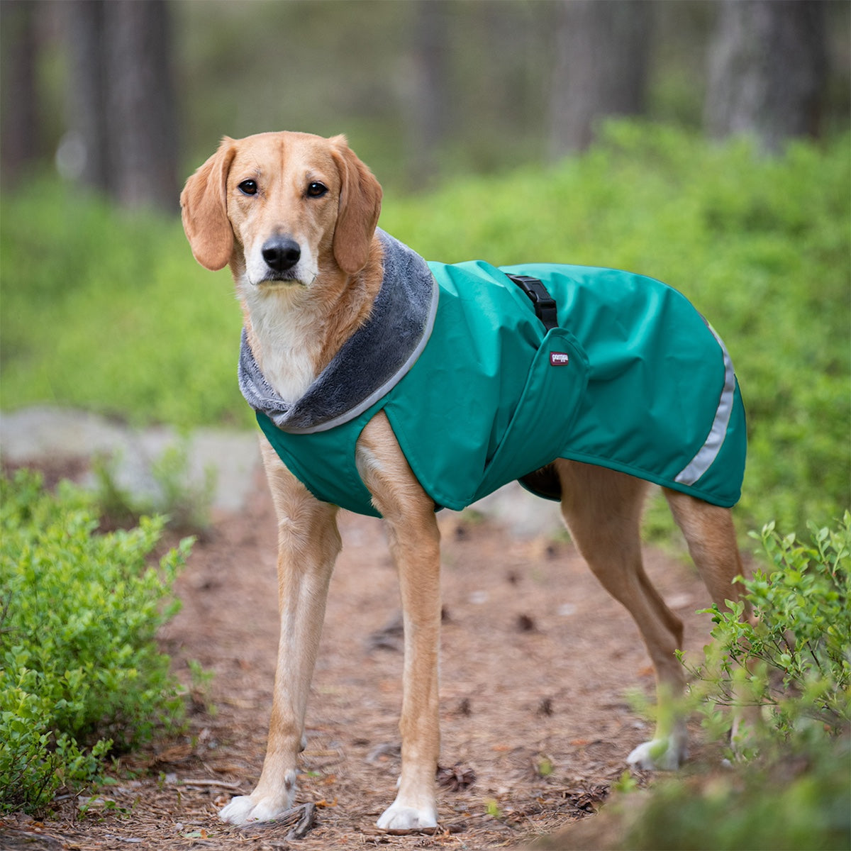 Monipuolinen koiran välikausitakki KevytPomppa värissä Trail.
