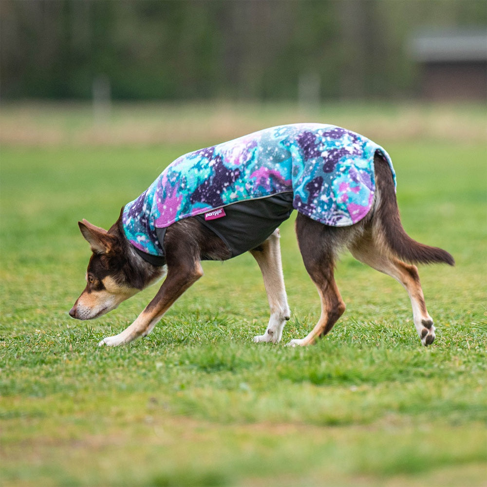 JumppaPomppa koiran lämpöpaita värissä Pink.