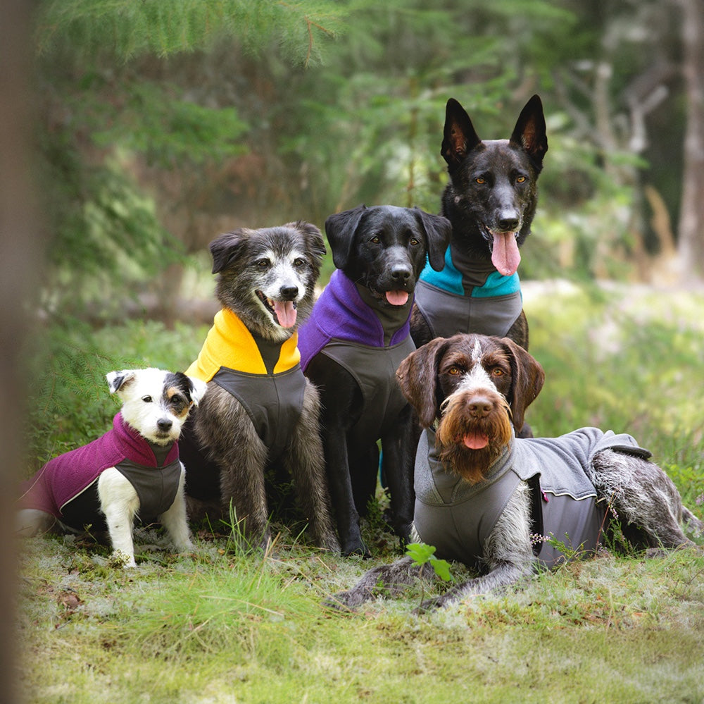 JumppaPomppa koiran lämpöpaita värissä Pink.