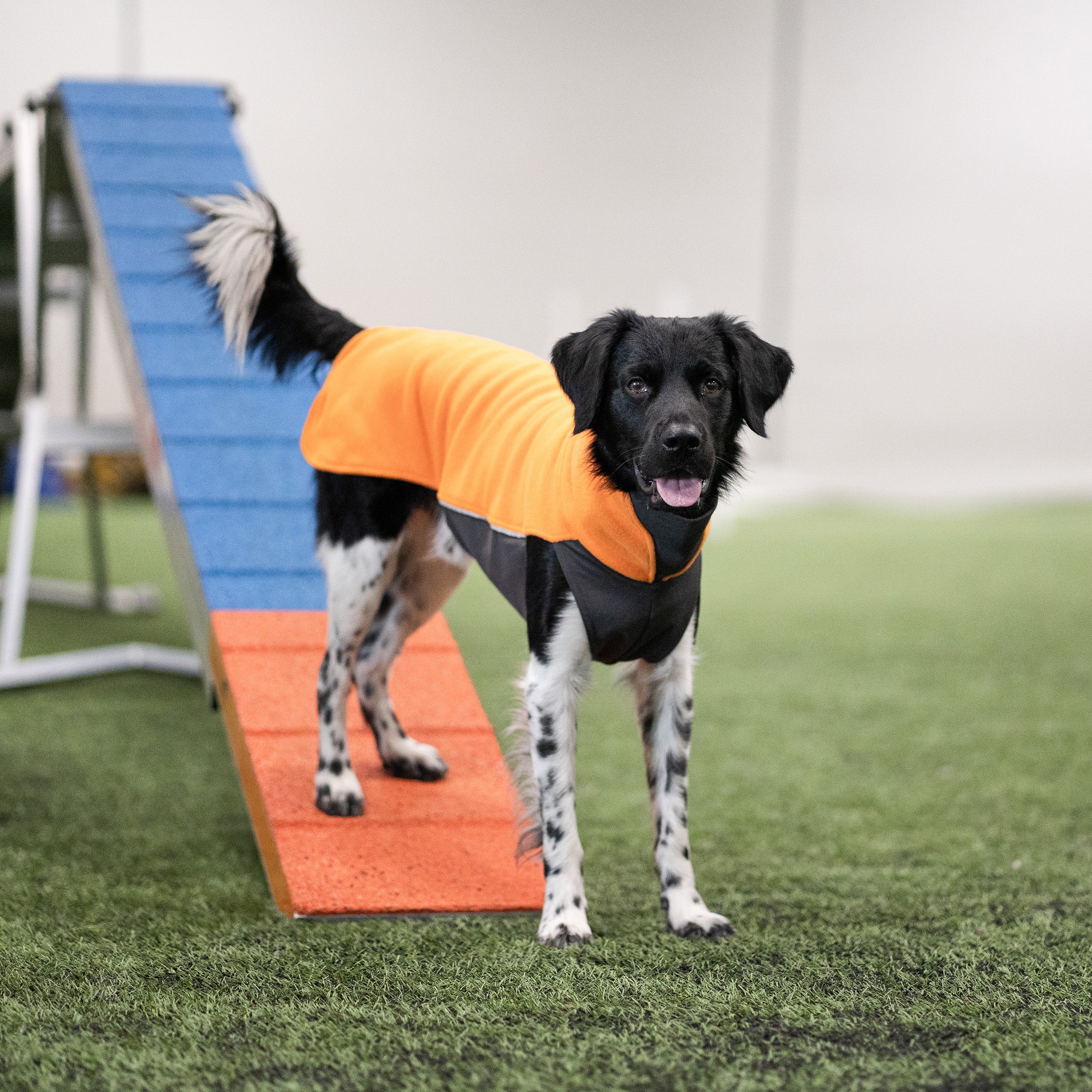 Jumppa RePomppa #2425163, koko 28