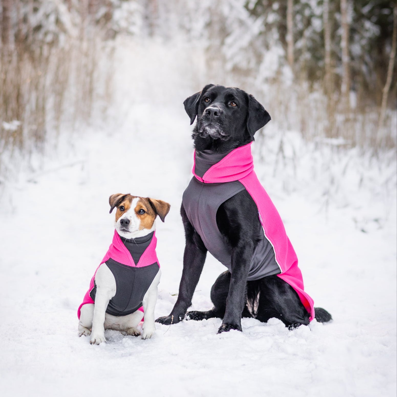 JumppaPomppa Pink on joustava ja monipuolinen koiran lämpöpaita.