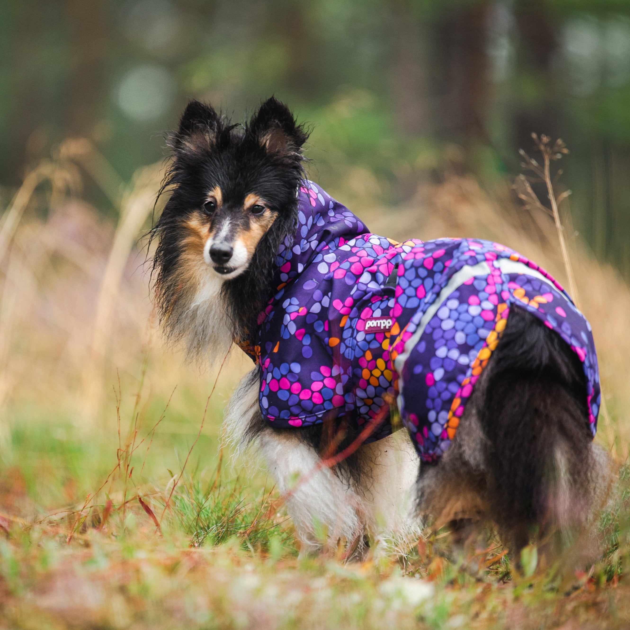 Lightweight midseason dog raincoat KevytPomppa Cosmos.