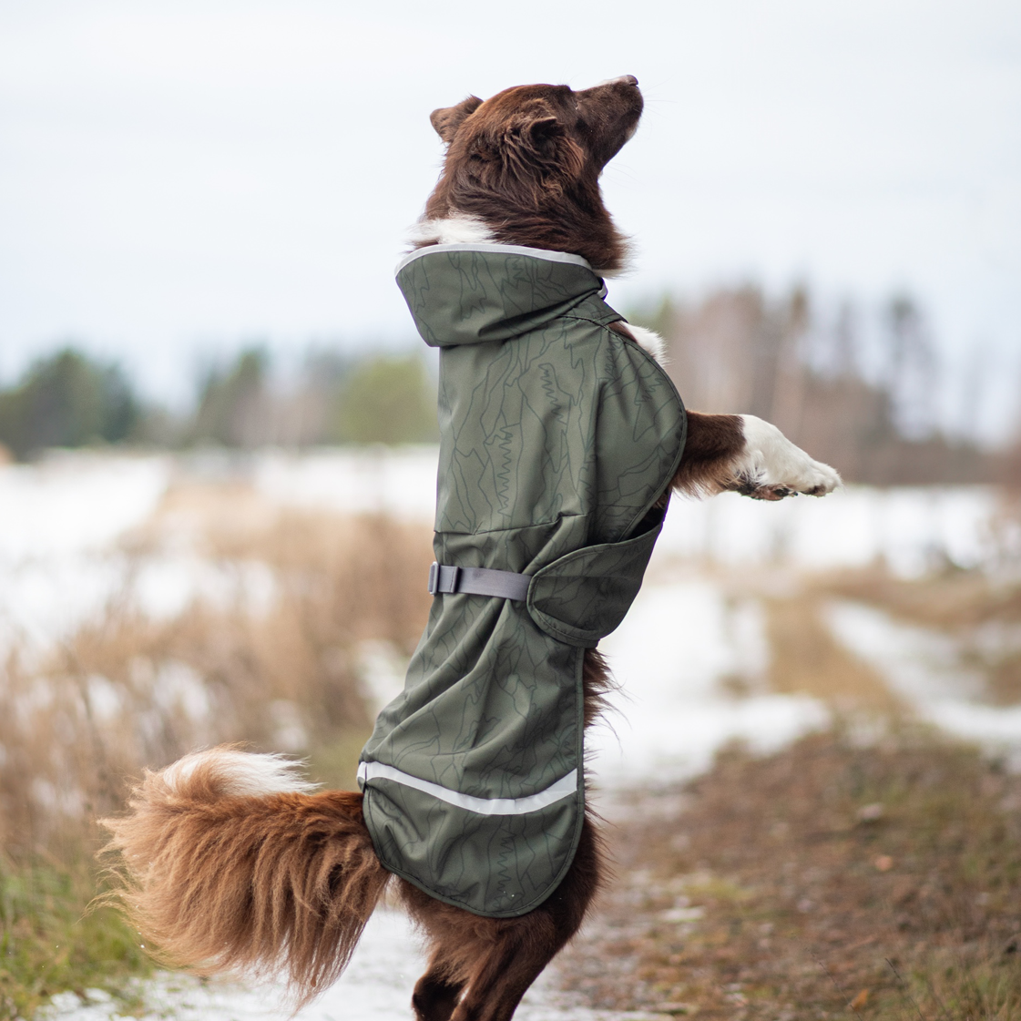 KevytPomppa Moss