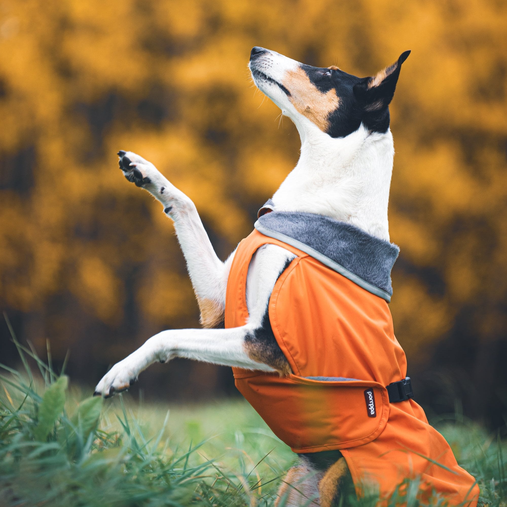 Kevyt RePomppa #2526060, koko 44