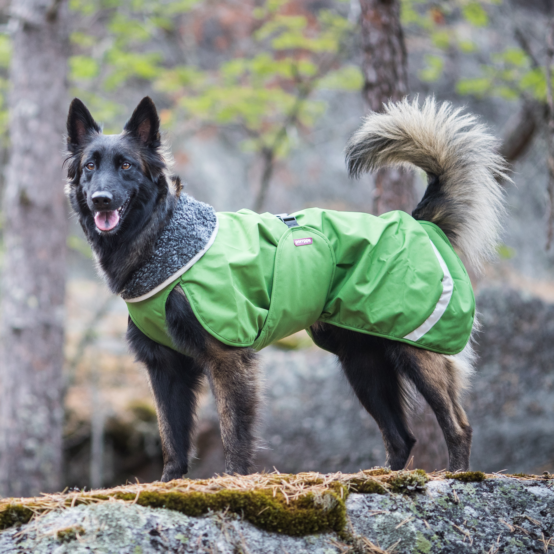 Perus RePomppa #62225, koko 60