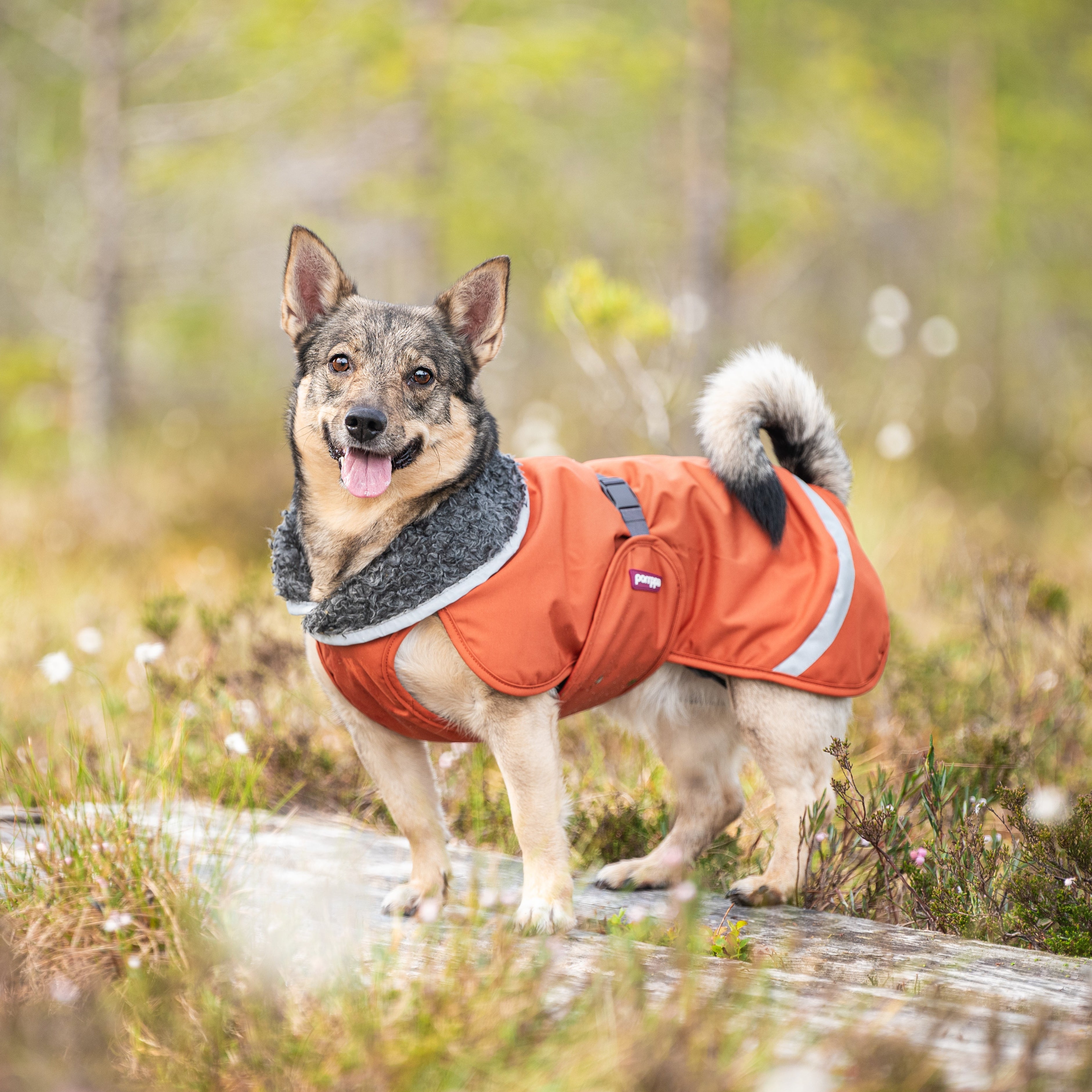 PerusPomppa Rust on paksu ja lämmin koiran talvitakki kylmiin ja kosteisiin sääolosuhteisiin.