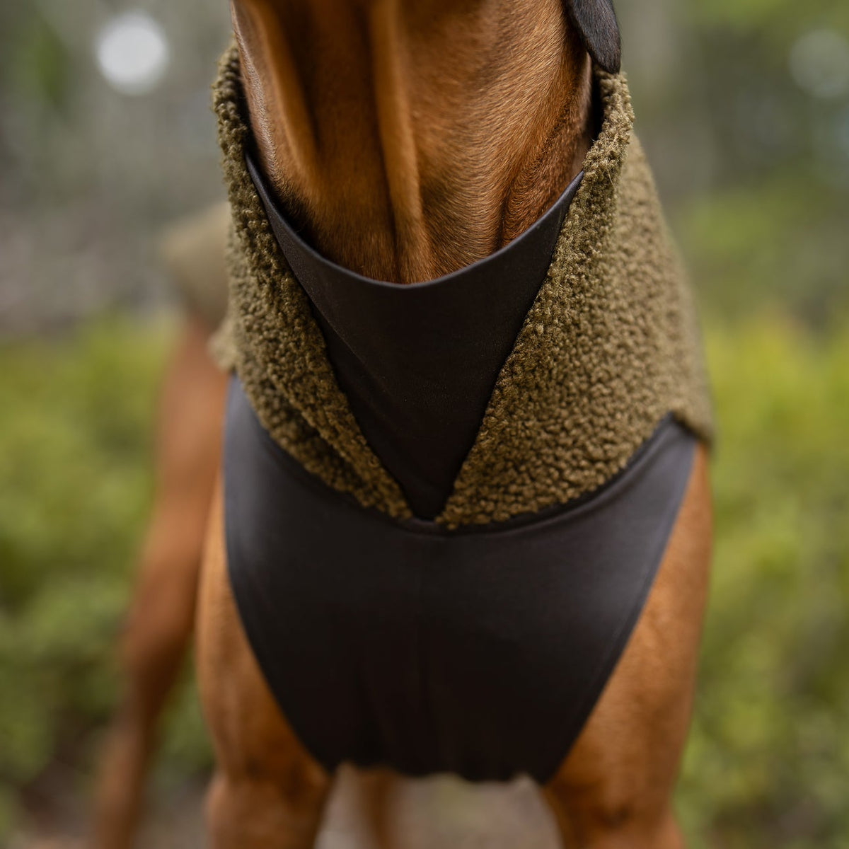 PolarPomppa Olive