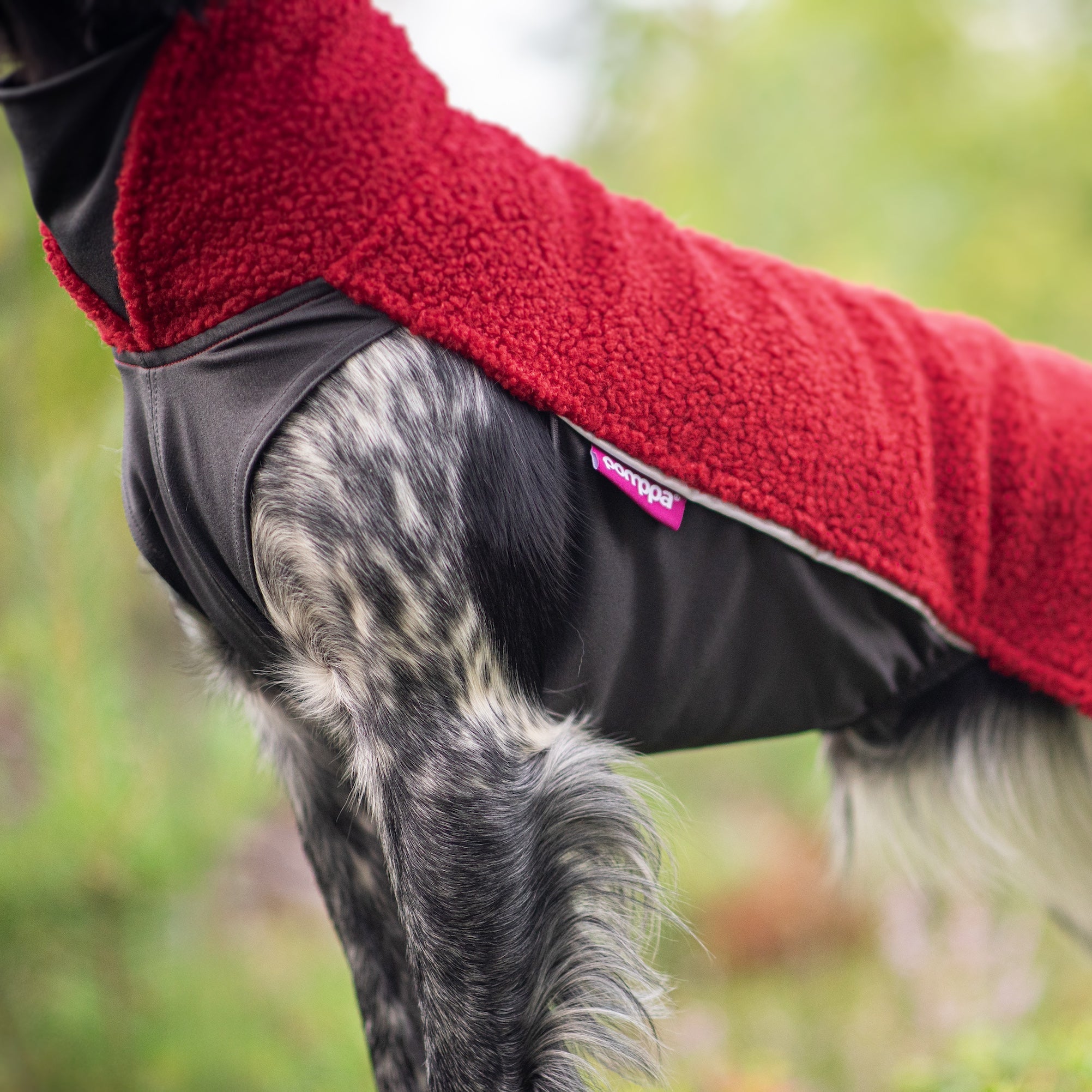 PolarPomppassa on tuplasti paksumpi fleece, entistä peittävämpi takaosa ja pukemista helpottava vetoketju.