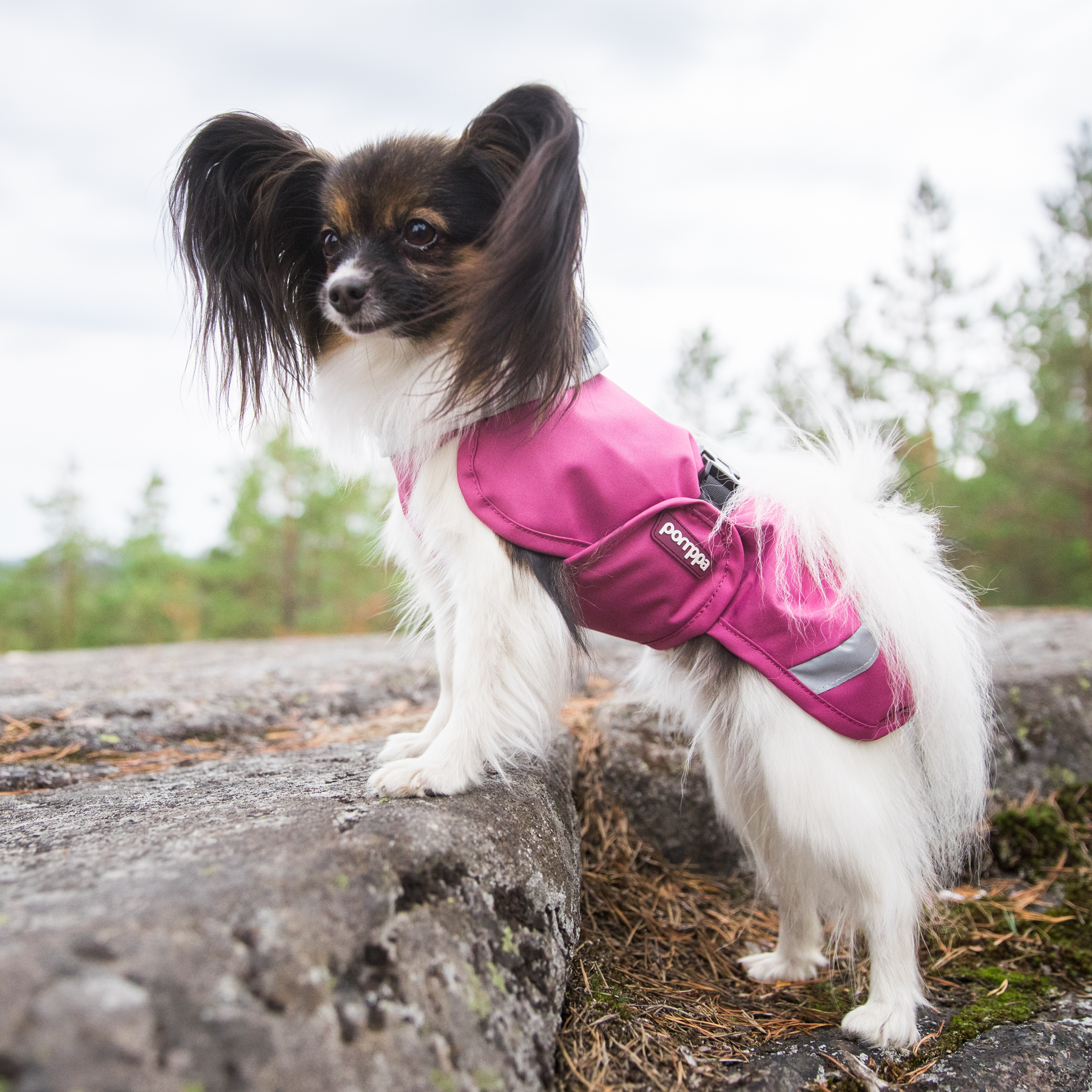 Sade RePomppa #62147, koko 85