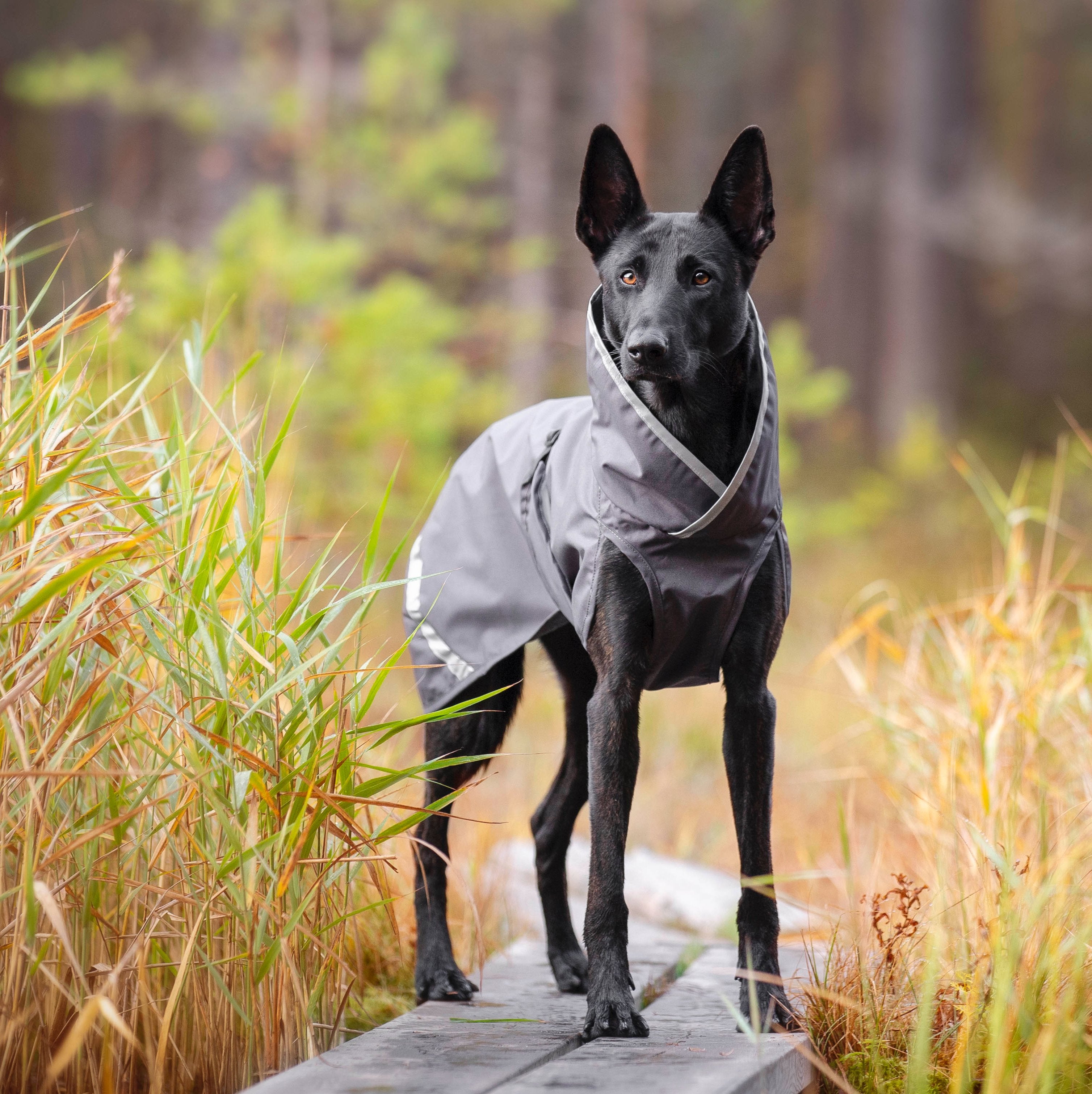 SadePomppa is a durable and lightweight raincoat for year-round use.