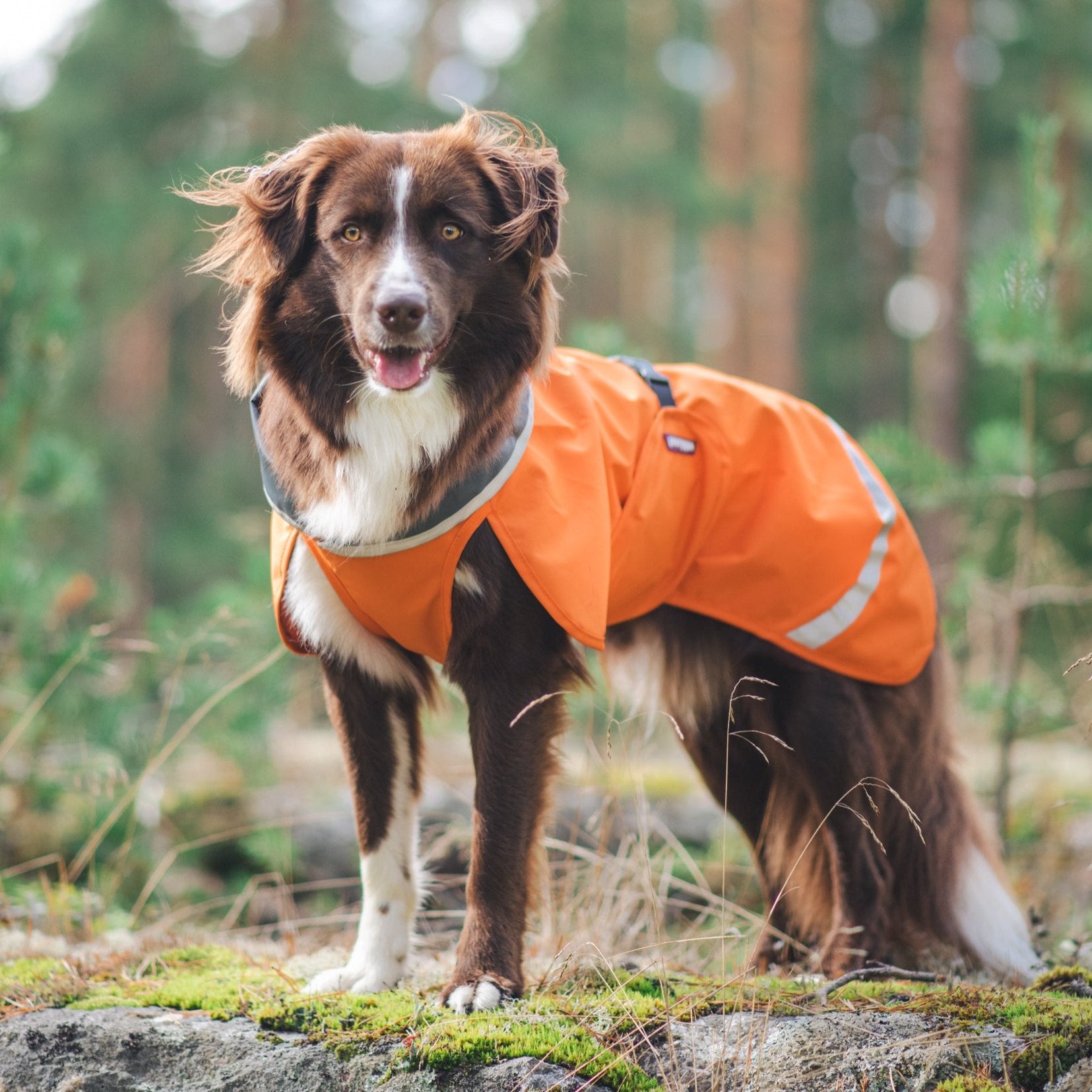 SadePomppa is a durable and lightweight raincoat for year-round use.
