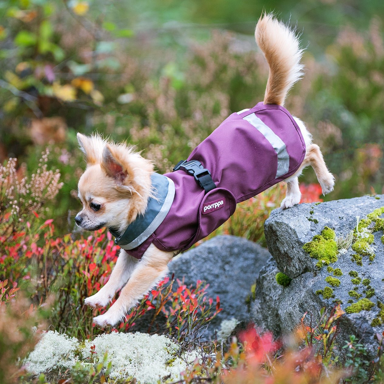 SadePomppa is a durable and lightweight raincoat for year-round use.