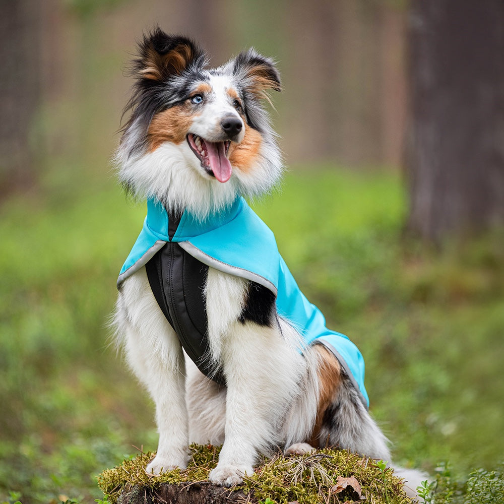 Pompan SporttiPomppa värissä arctic suojaa koiraa sateelta, tuulelta, kuralta ja kylmältä.