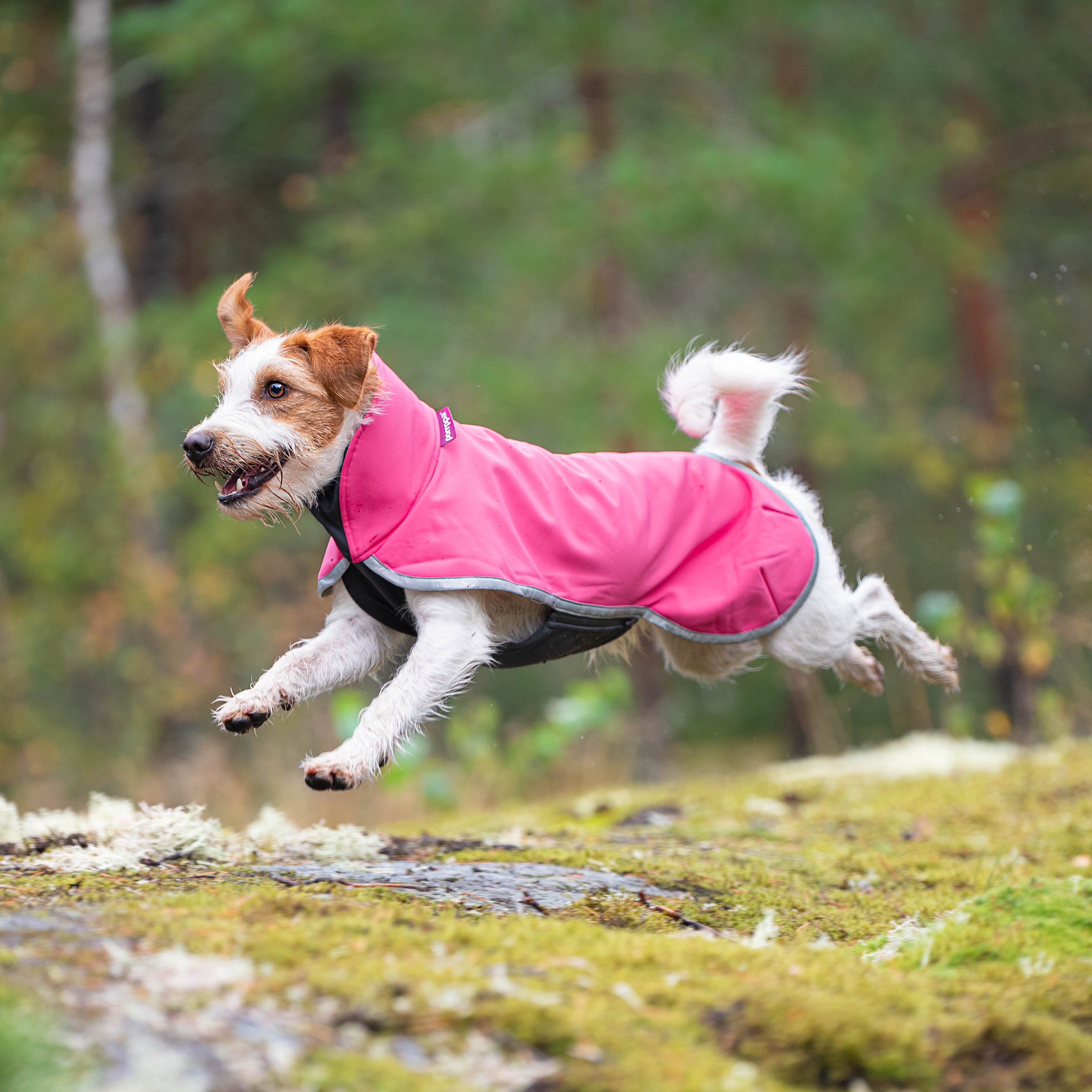 SporttiPomppa koiran välikausitakki värissä Pink.