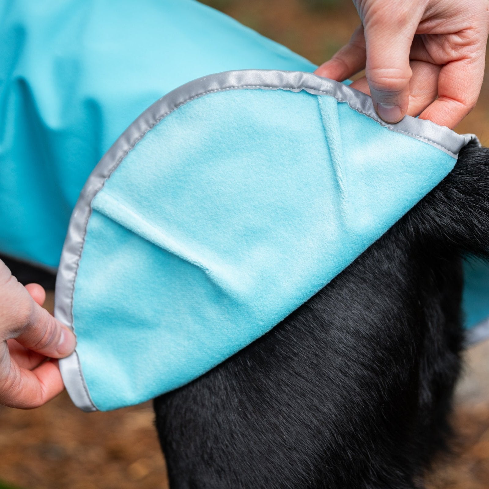 SporttiPomppa Graphite is a waterproof and warm softshell dog coat for three season use.