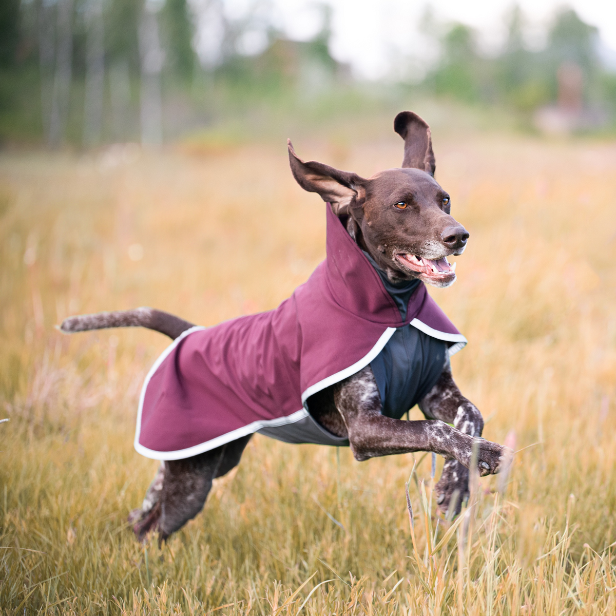 SporttiPomppa Maroon