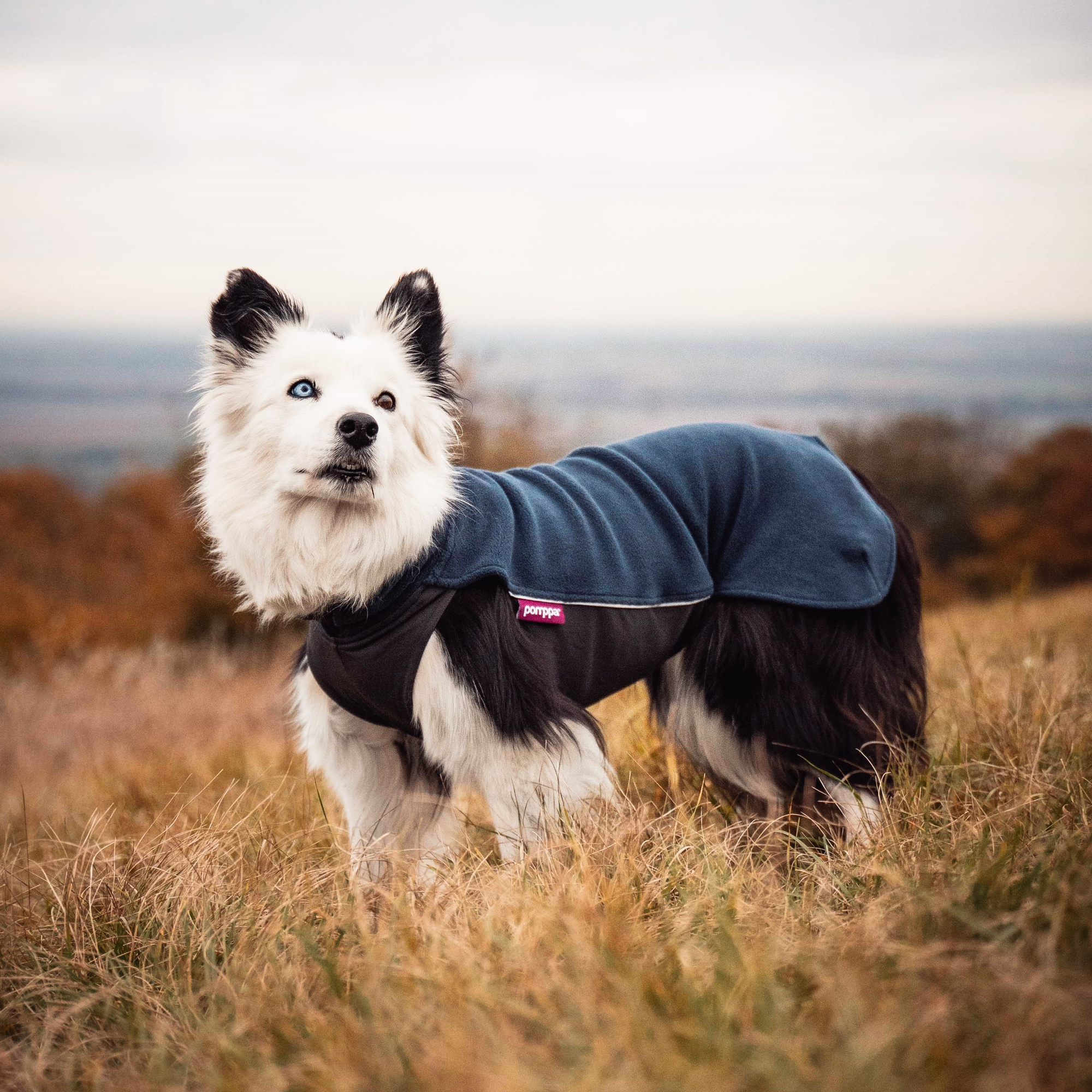 JumppaPomppa Midnight