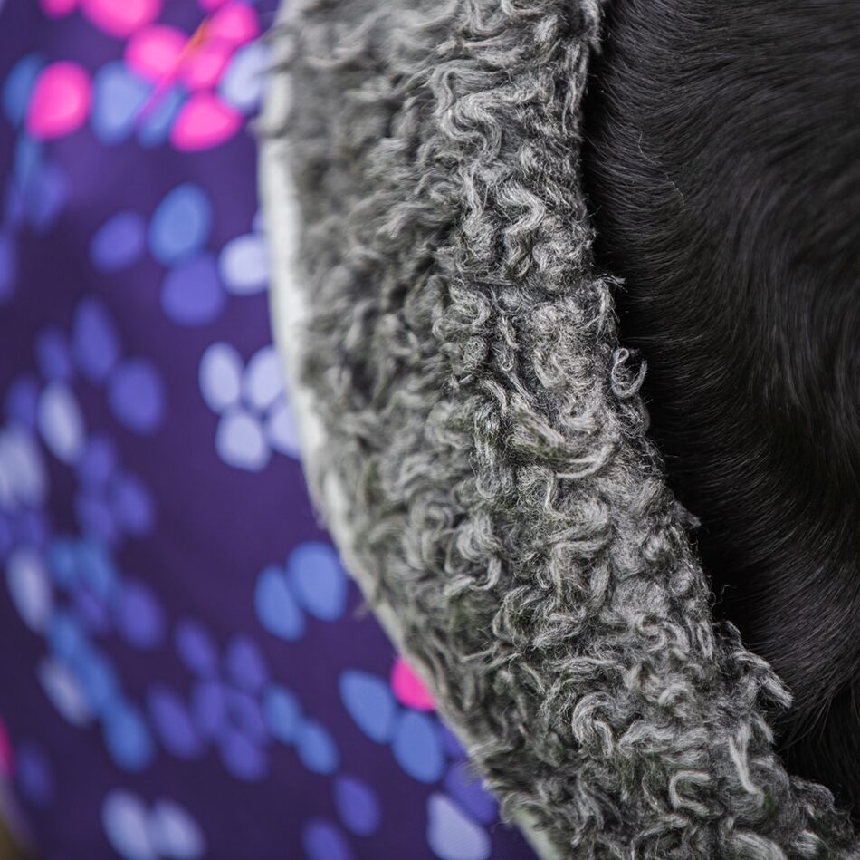 Koiran talvitakki ToppaPomppa Kartta kuosilla.