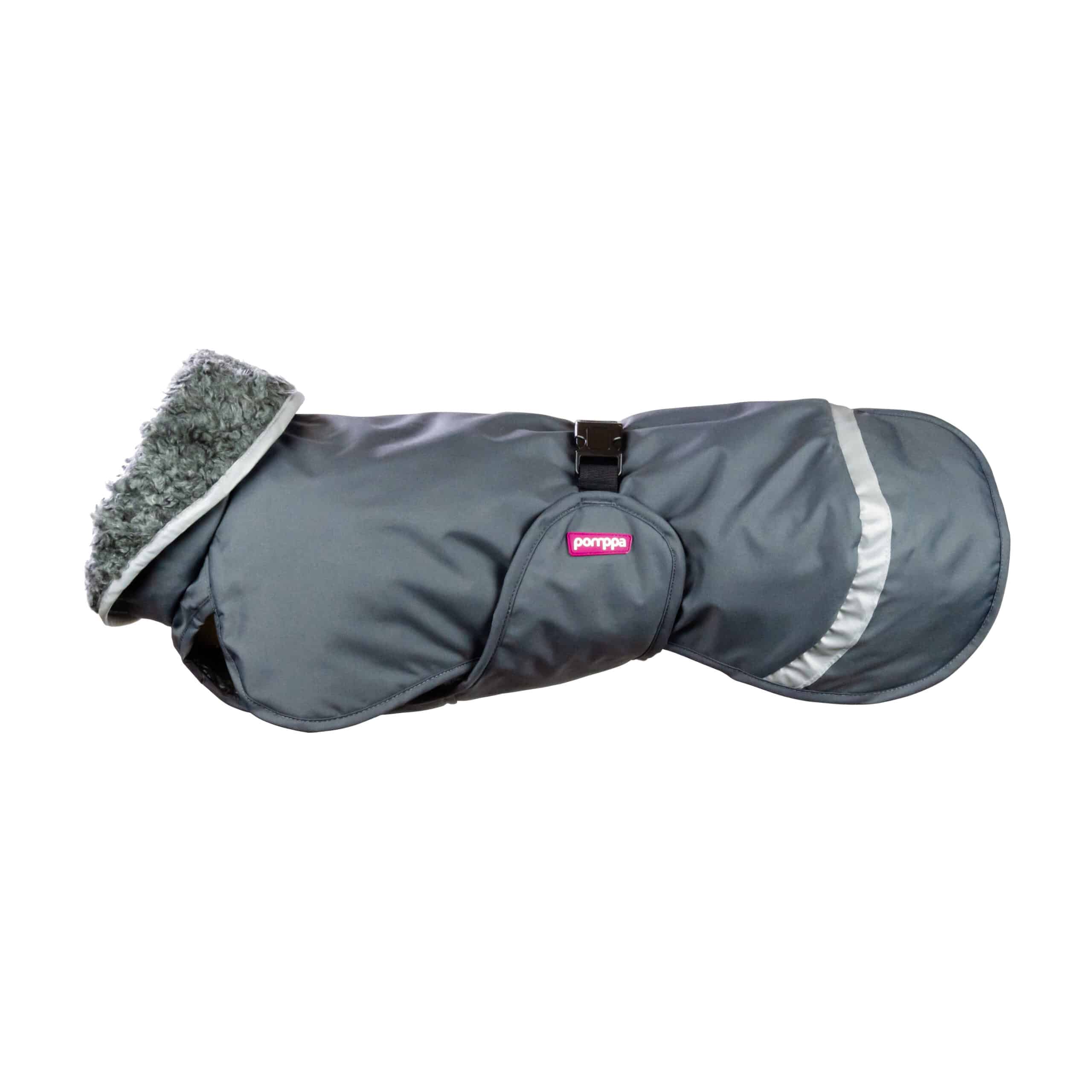 Koiran harmaa peruspomppa-takki koiralle valjasaukolla.