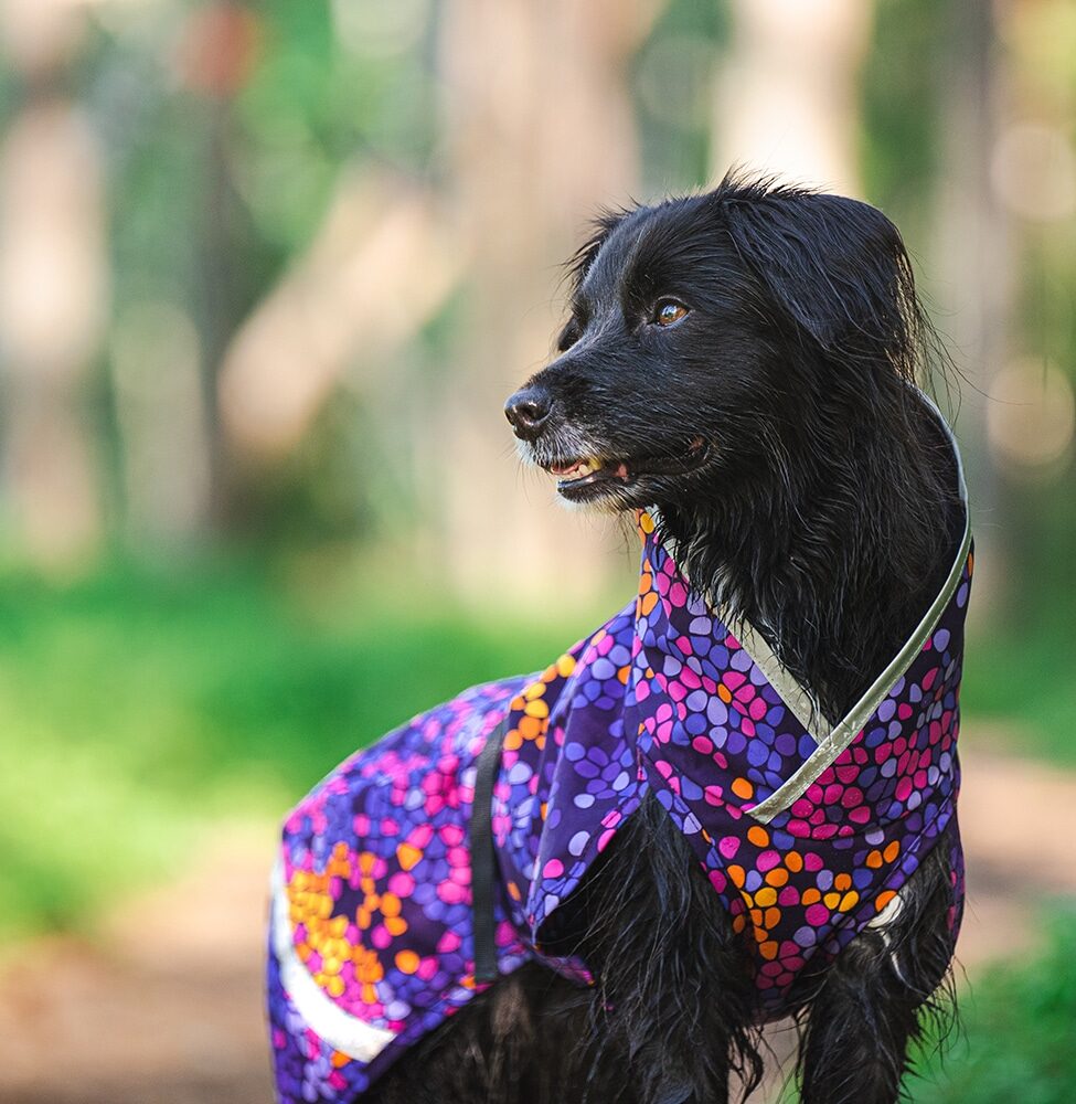 SadePomppa is a durable and lightweight raincoat for year-round use.