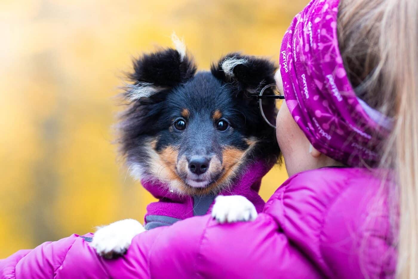 10 asiaa, jotka jokaisen pennunomistajan tulee muistaa