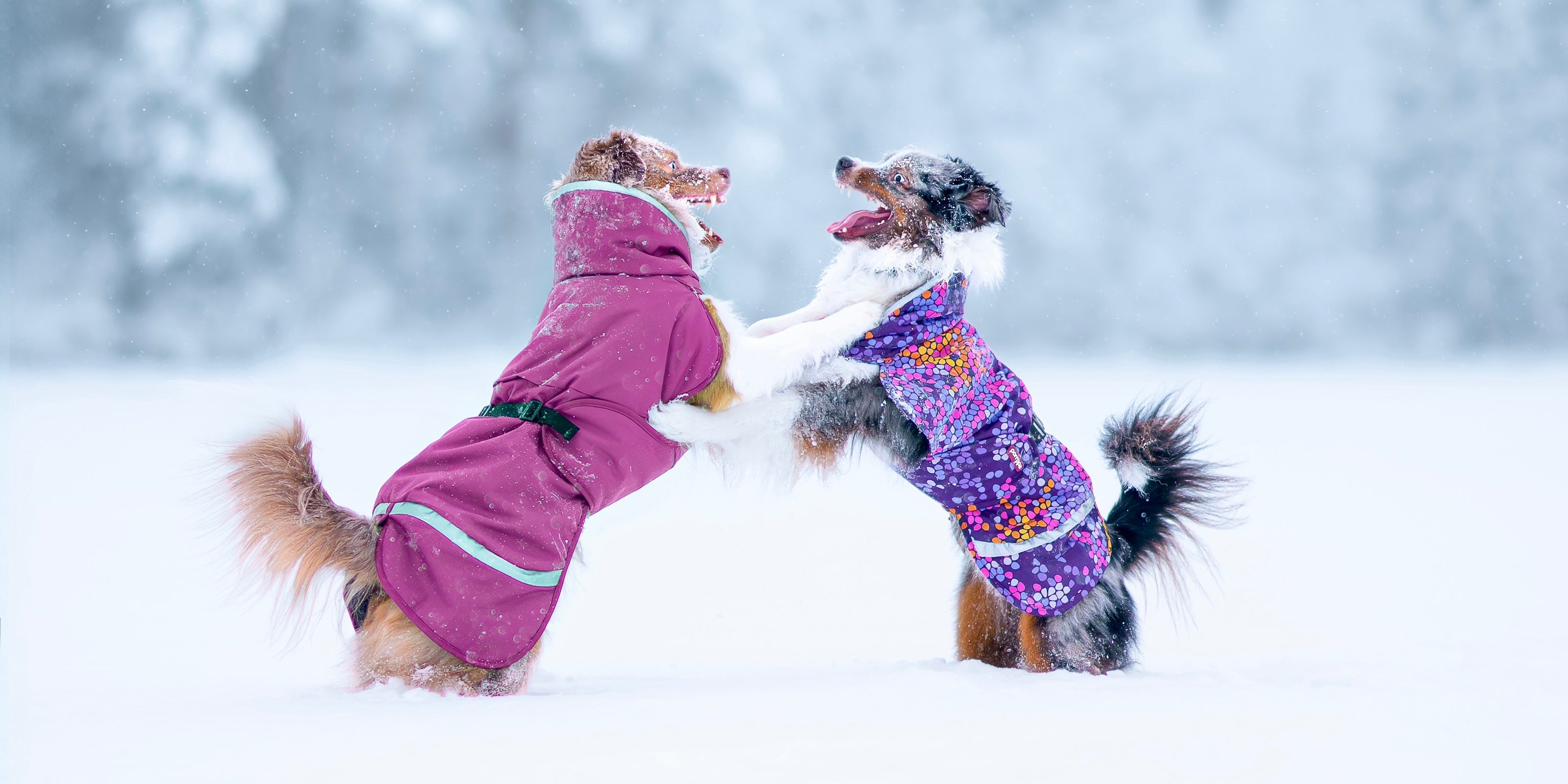 Wintercoats