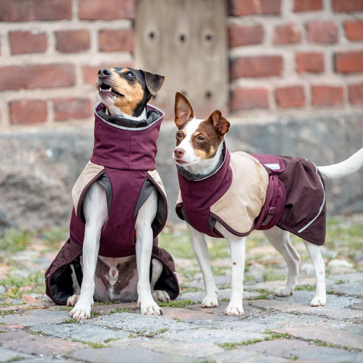 ArcticPomppa Maroon