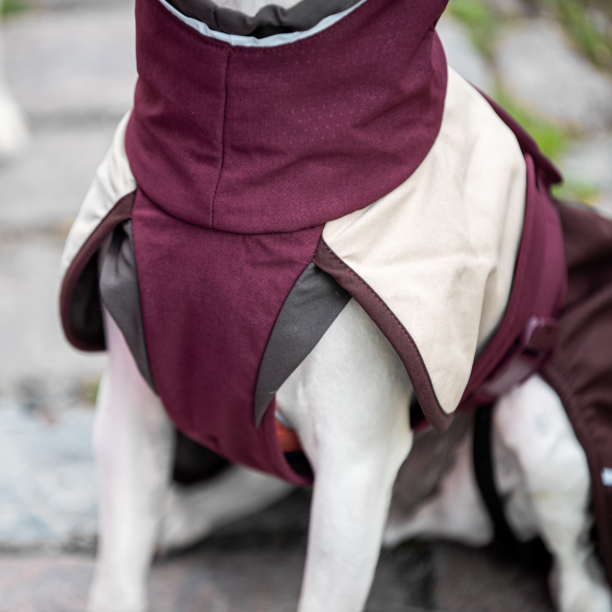 ArcticPomppa Maroon