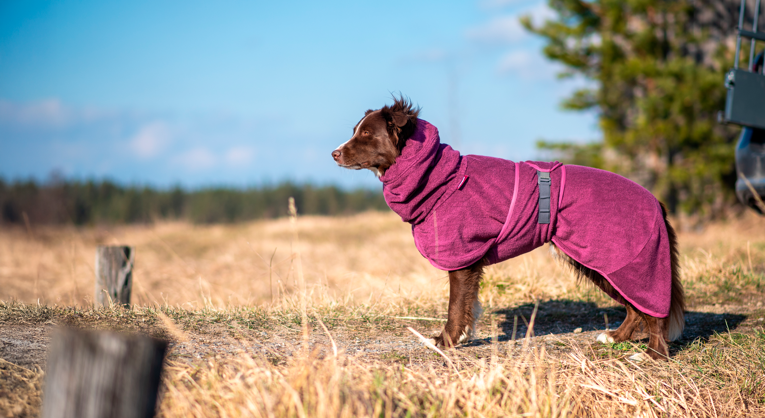 Pomppa(ポムッパ) ペルス ポムッパ ピンク 60 Pomppa(ポムッパ) ペルス ポムッパ ミント 60