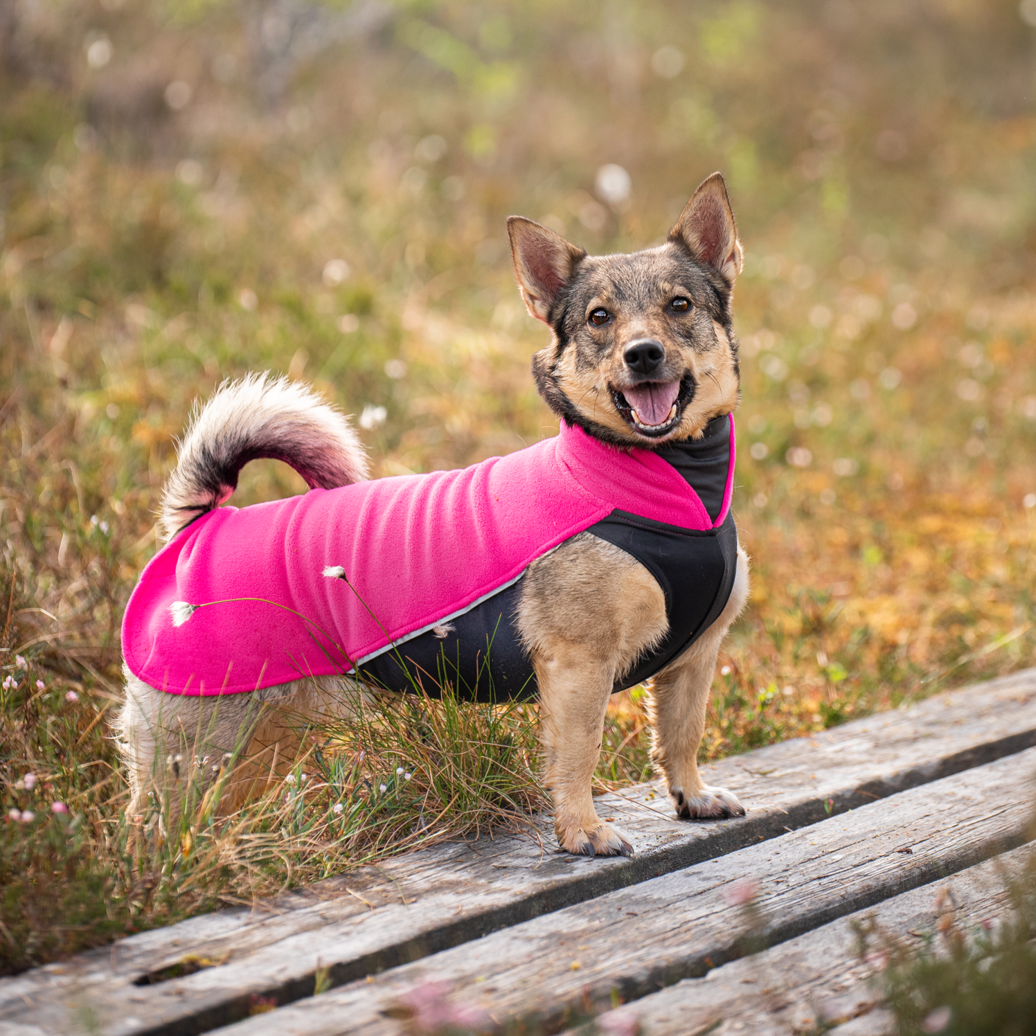JumppaPomppa Pink on joustava ja monipuolinen koiran lämpöpaita.