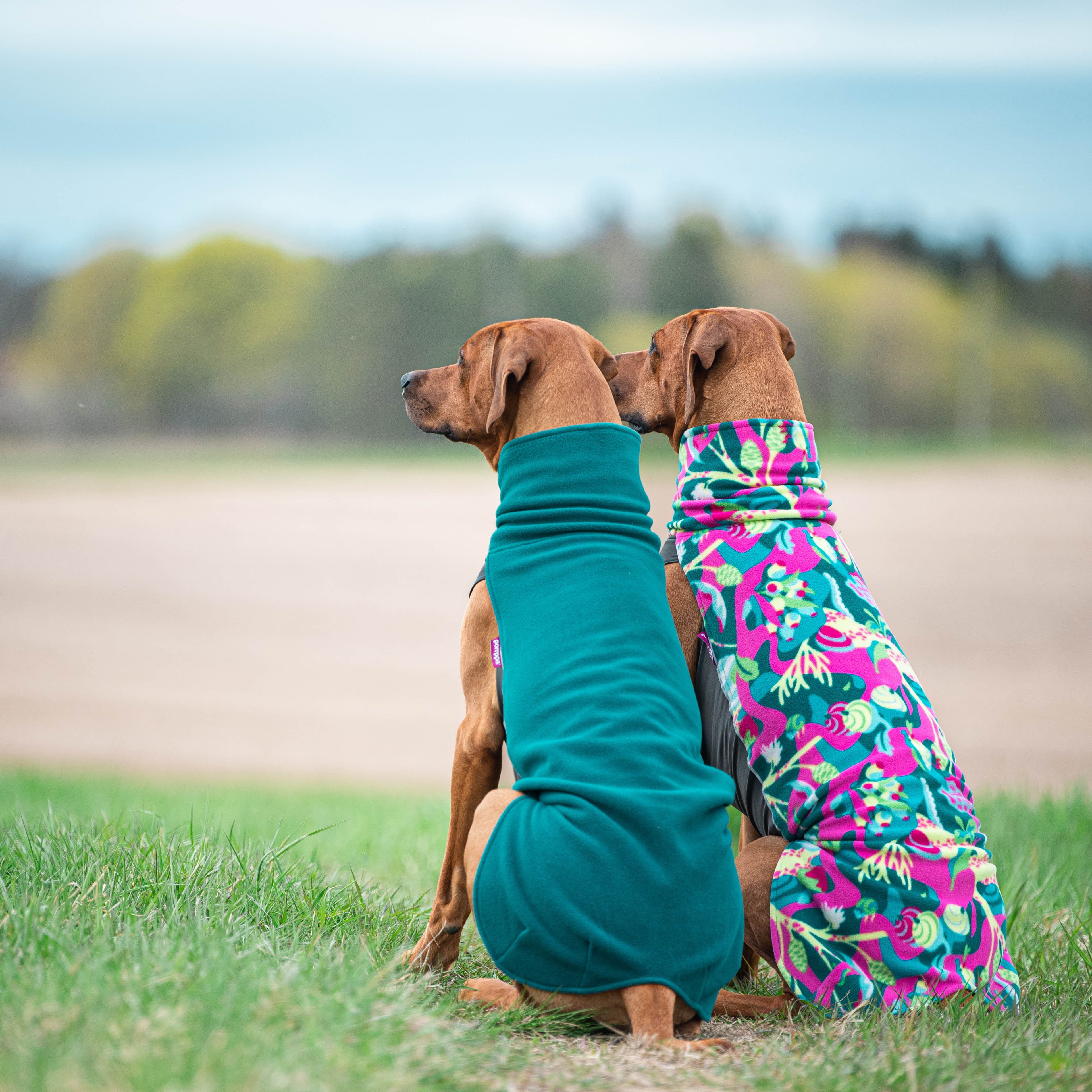 Jumppa RePomppa #2425163, koko 28