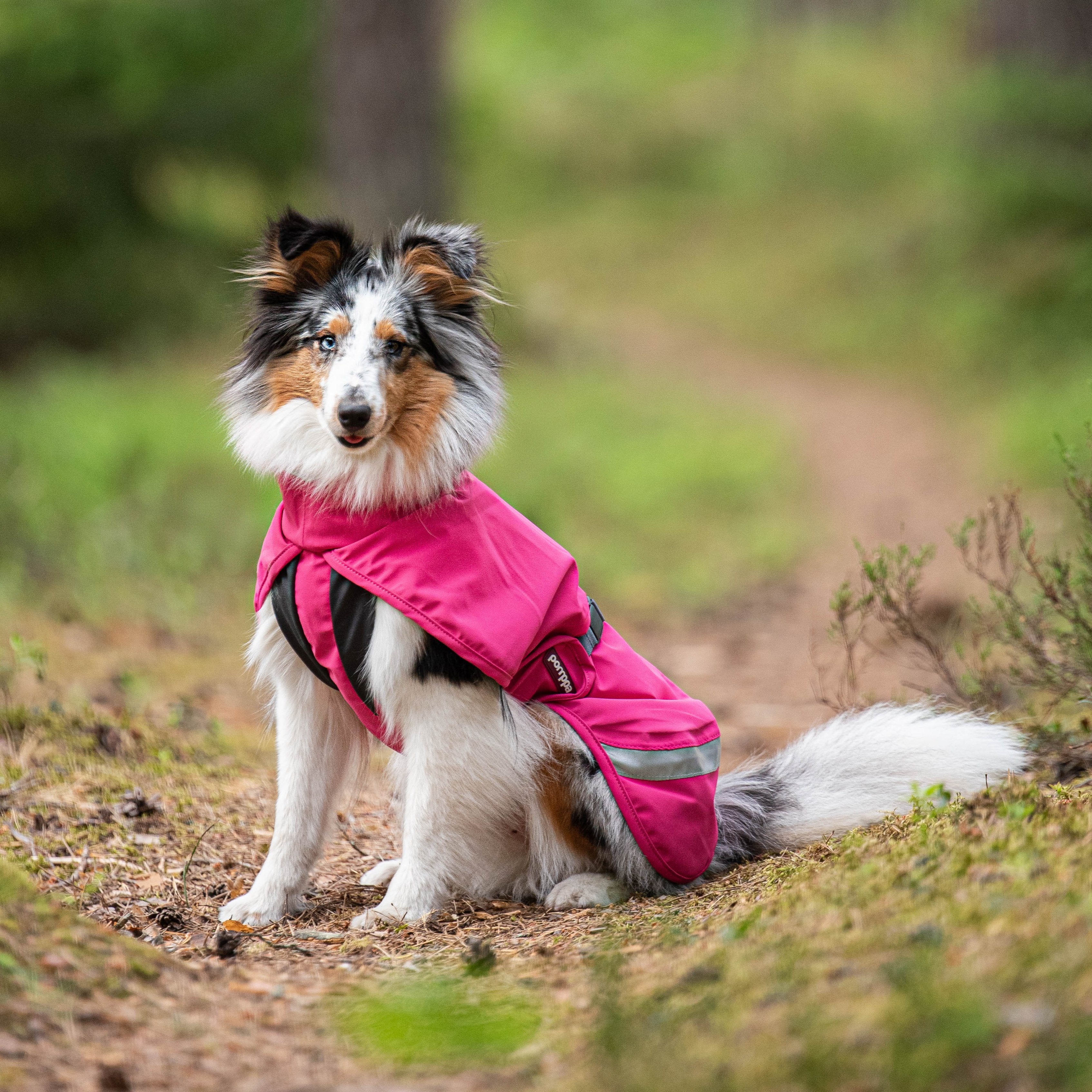 KuoriPomppa, the unlined dog shell jacket in colour pink.