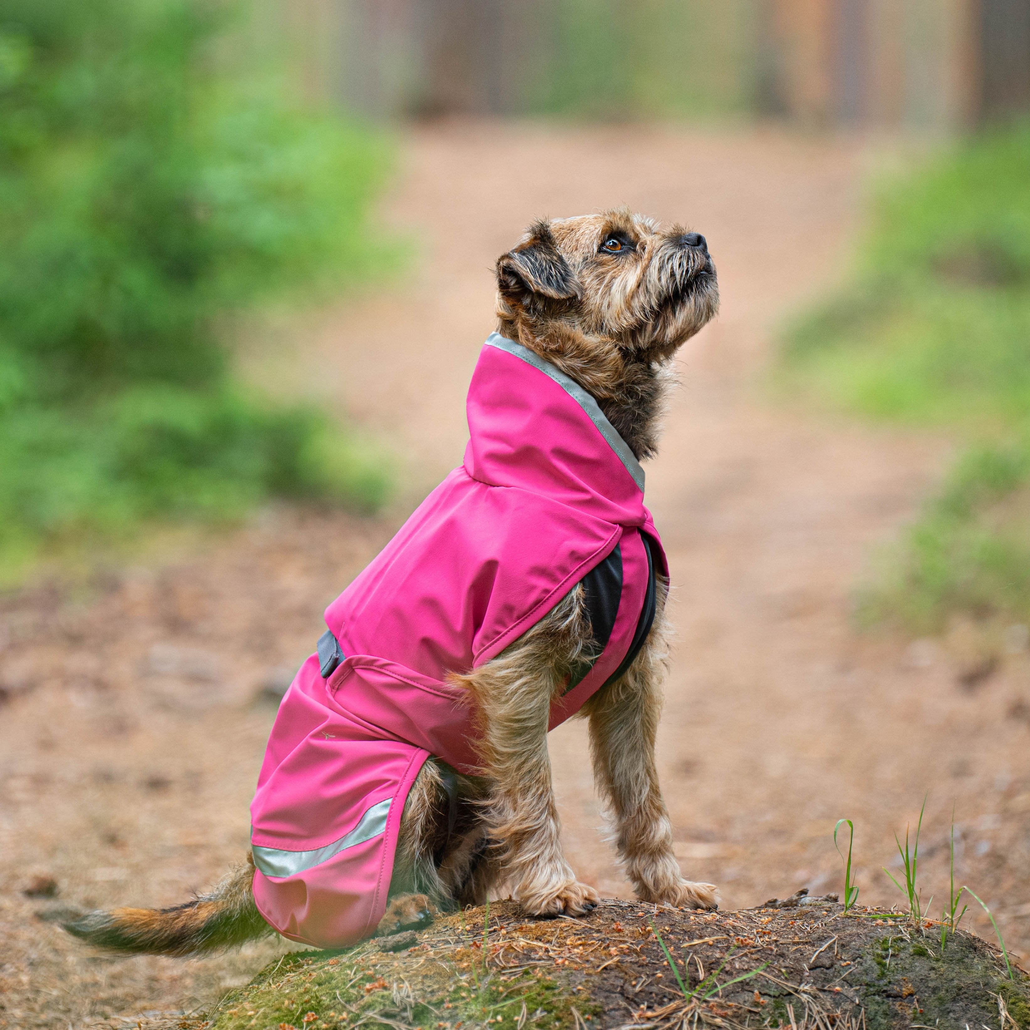 KuoriPomppa, the unlined dog shell jacket in colour pink.