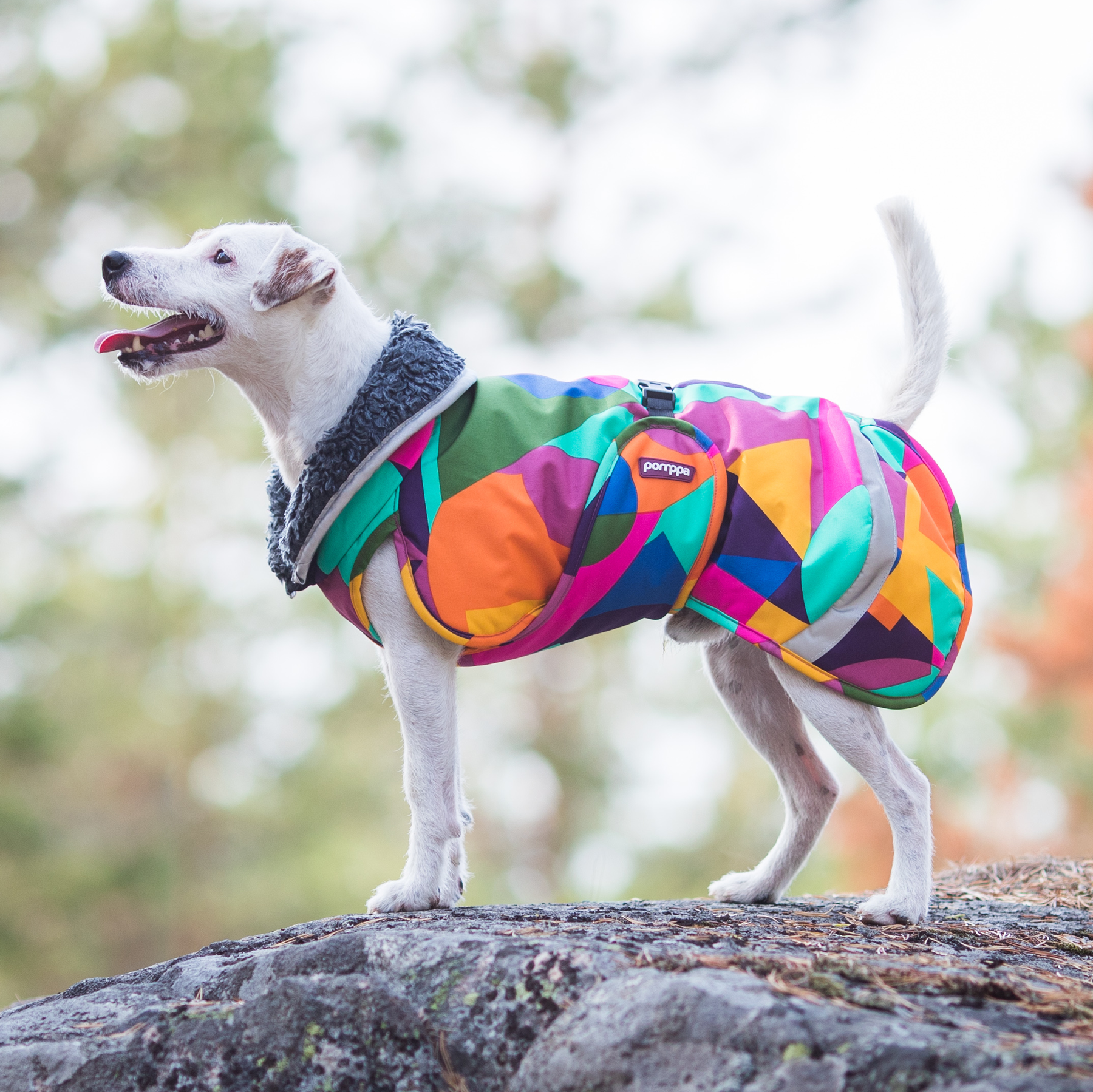 Toppa RePomppa #2425123, koko 28