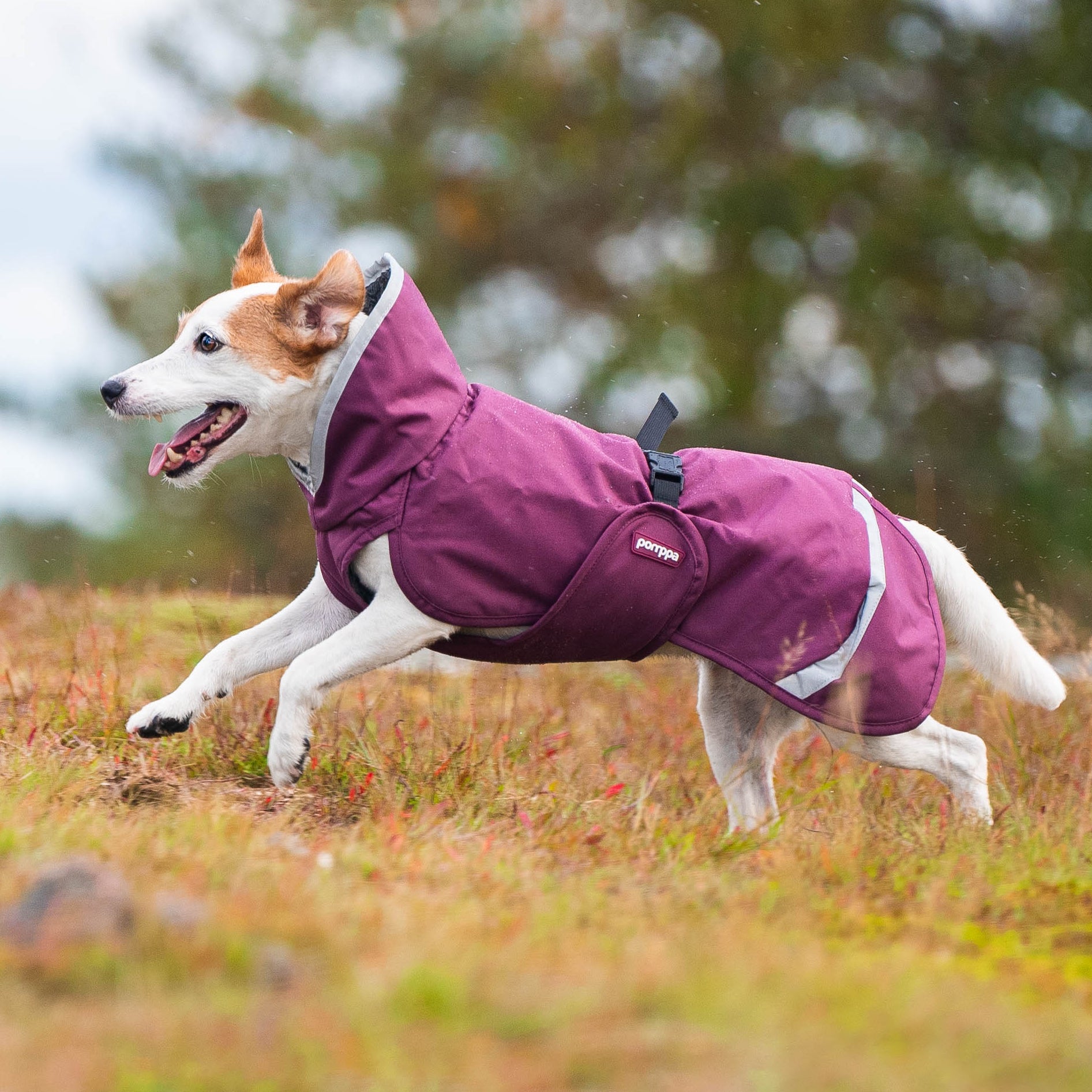 Pomppa Dogwear | Weatherproof clothing for dogs