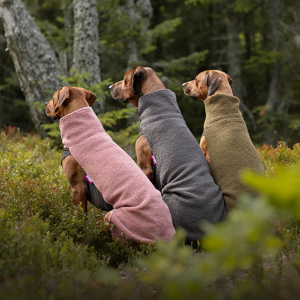 Pomppa Dogwear | Weatherproof clothing for dogs