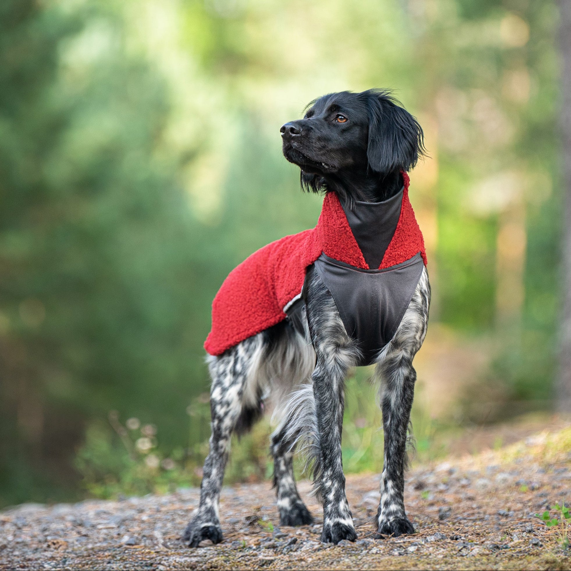 PolarPomppassa on tuplasti paksumpi fleece, entistä peittävämpi takaosa ja pukemista helpottava vetoketju.
