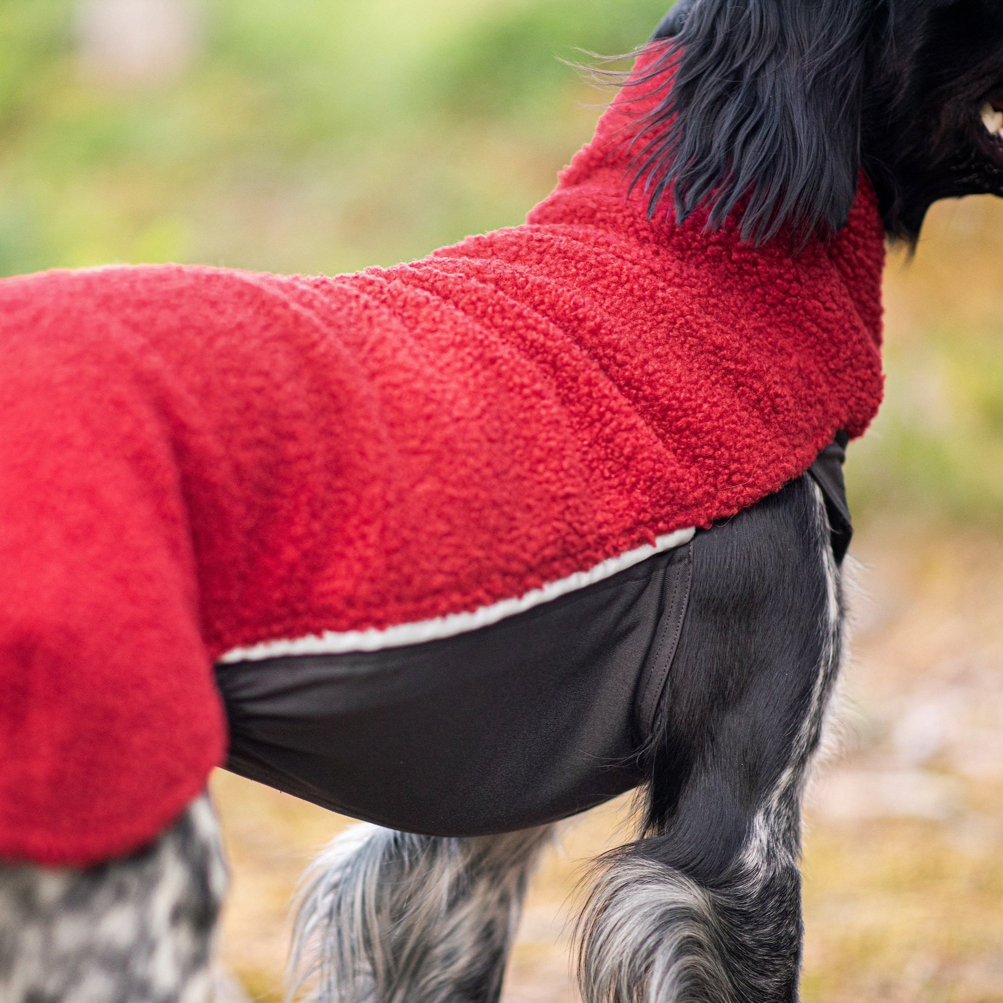 PolarPomppa on päivitetty versio ikisuosikki JumppaPompasta.