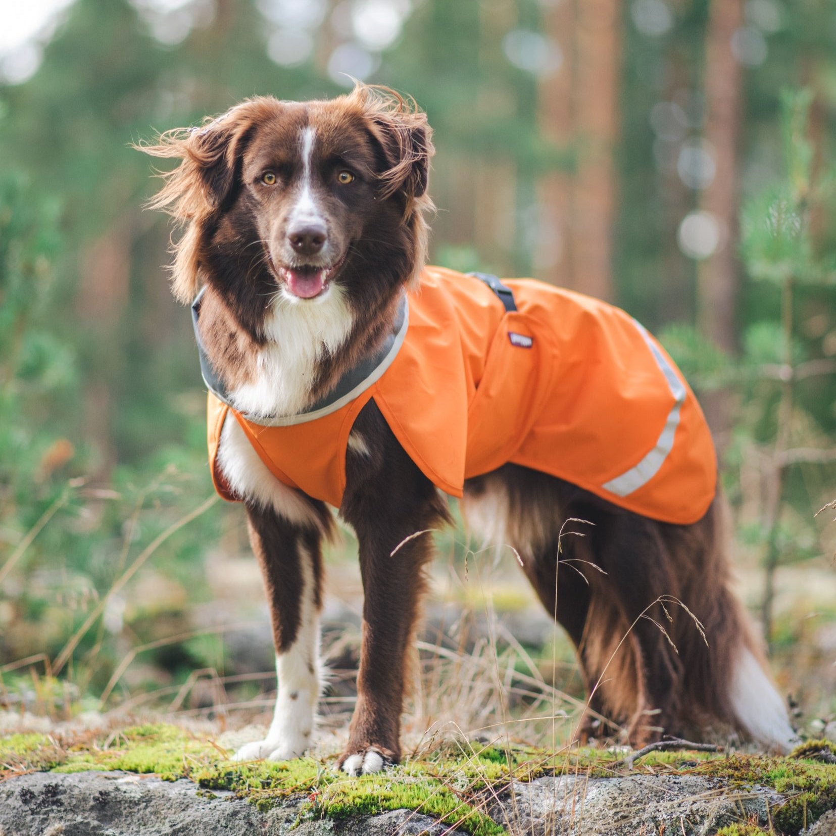 SadePomppa is a durable and lightweight raincoat for year-round use. 