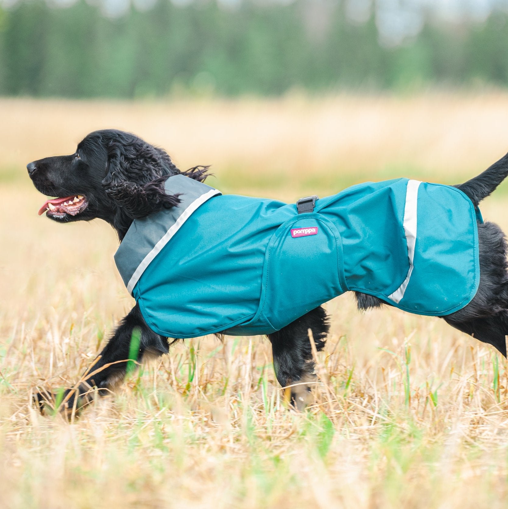 SadePomppa is a durable and lightweight raincoat for year-round use. 