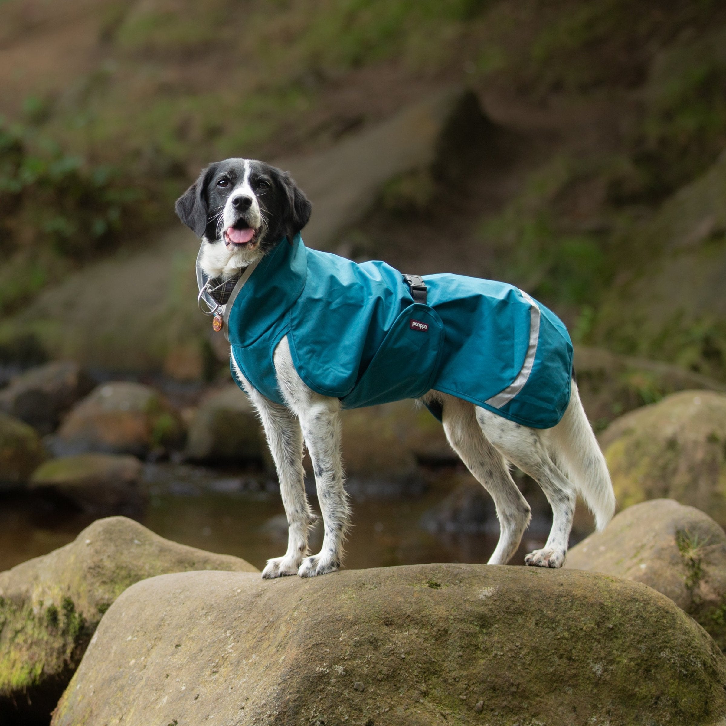 SadePomppa is a durable and lightweight raincoat for year-round use. 