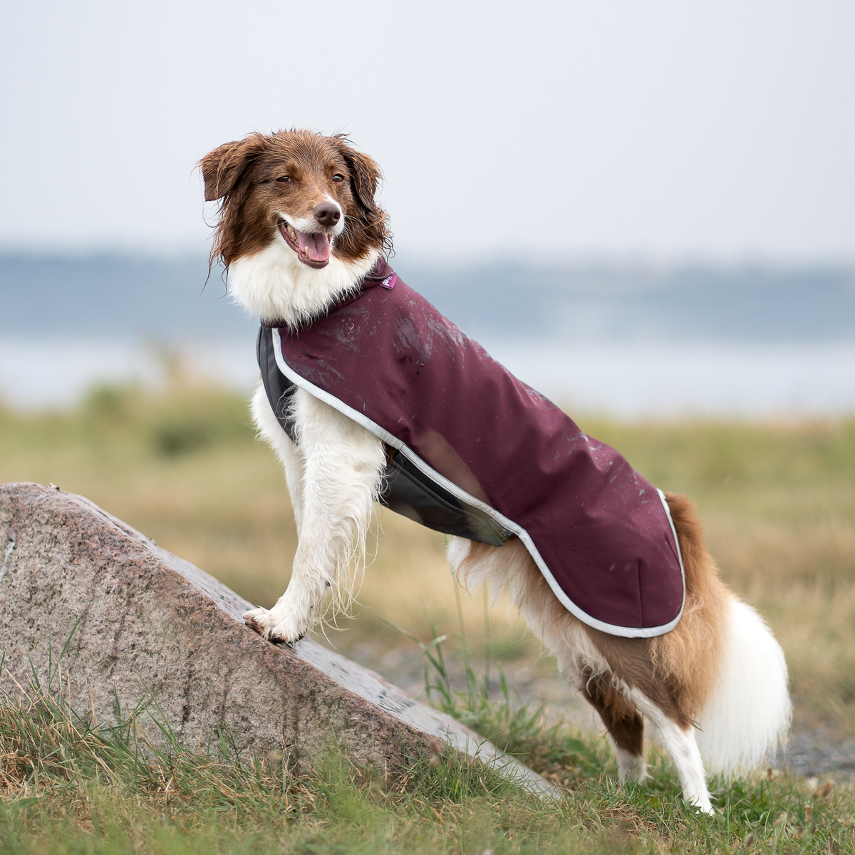 SporttiPomppa Maroon