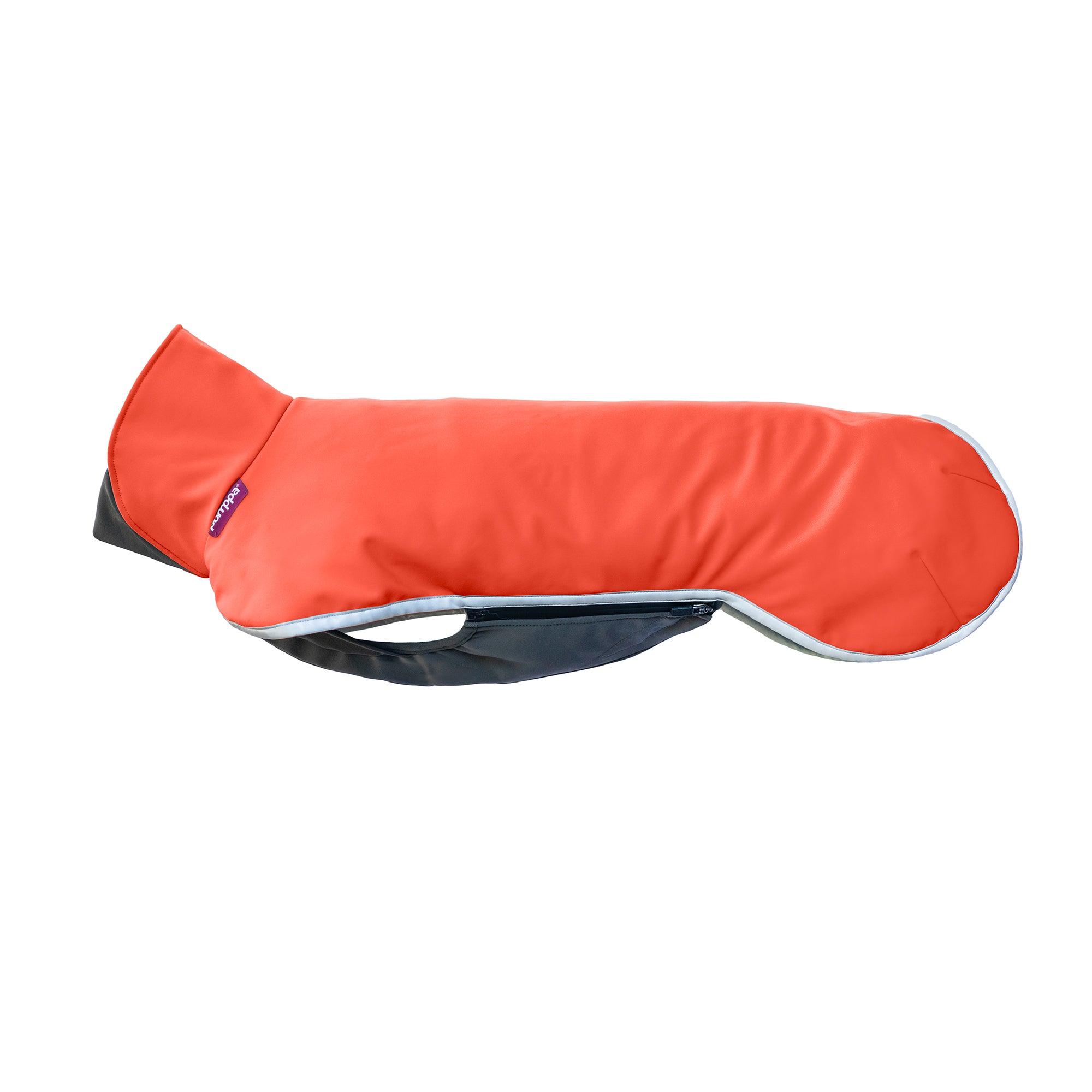 Koiran vedenpitävä ja lämmin softshell-takki värissä Habanero.