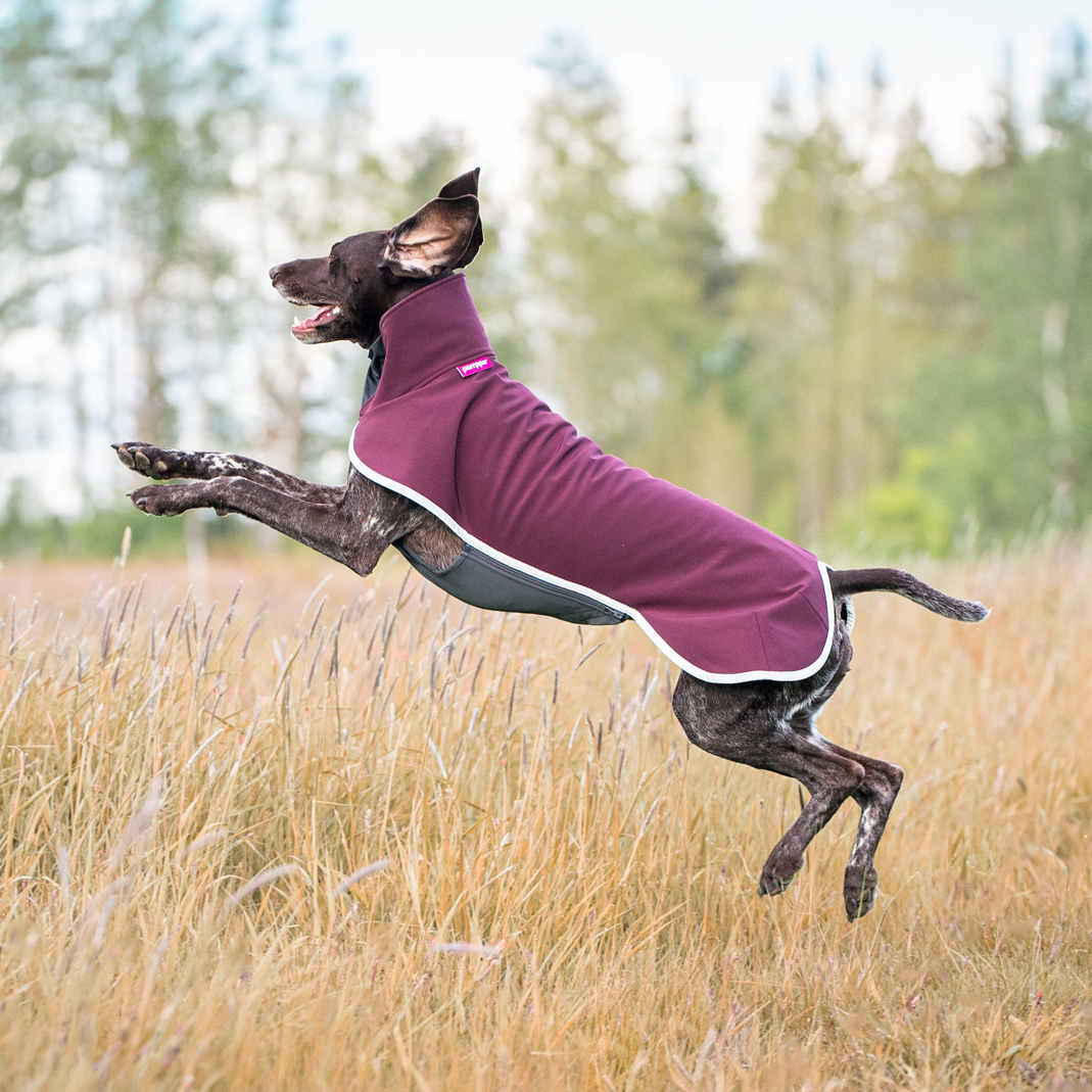 SporttiPomppa Maroon on vedenpitävä koiran softshell-sadetakki, joka lämmittää kevyesti.