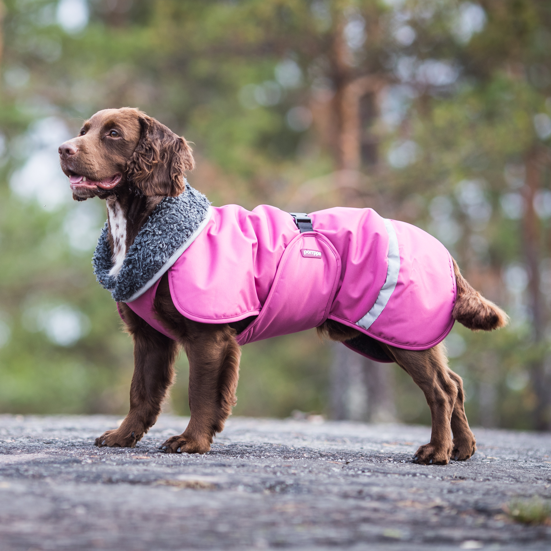 Toppa RePomppa #2425123, koko 28