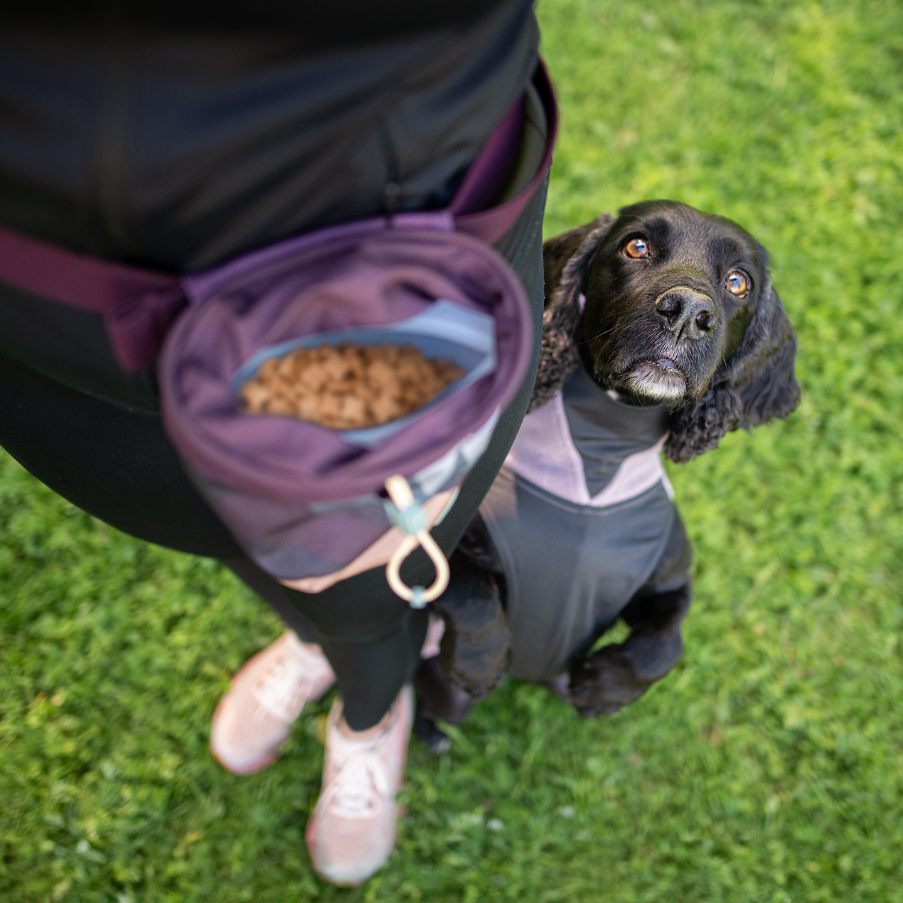 Pomppa Treat Bag Maroon