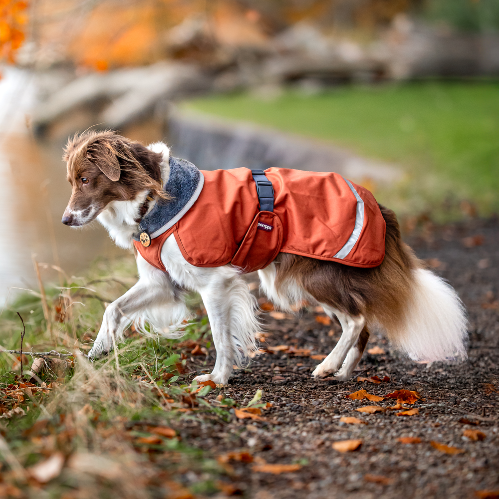 KevytPomppa Rust - Mid-season coat for dogs