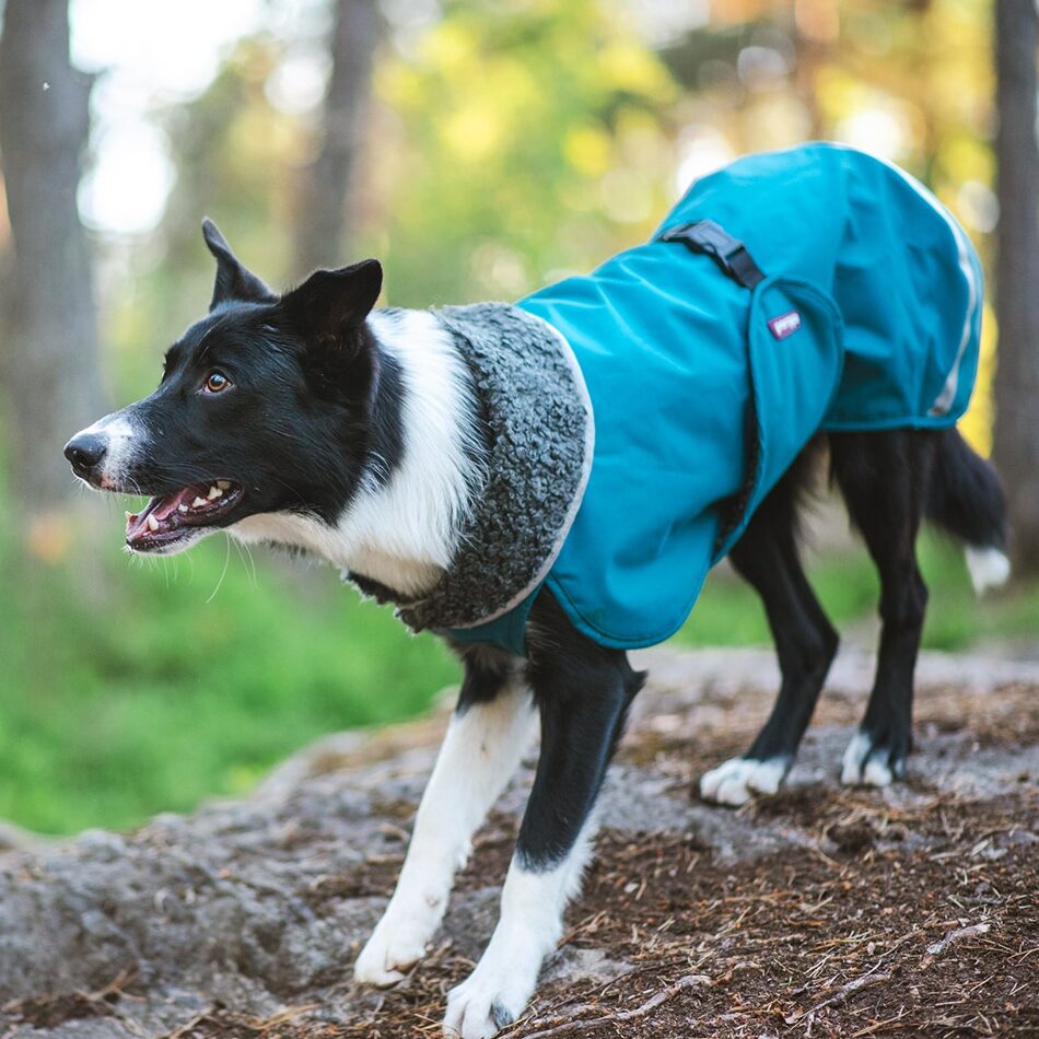 Perus RePomppa #2526002, koko 50