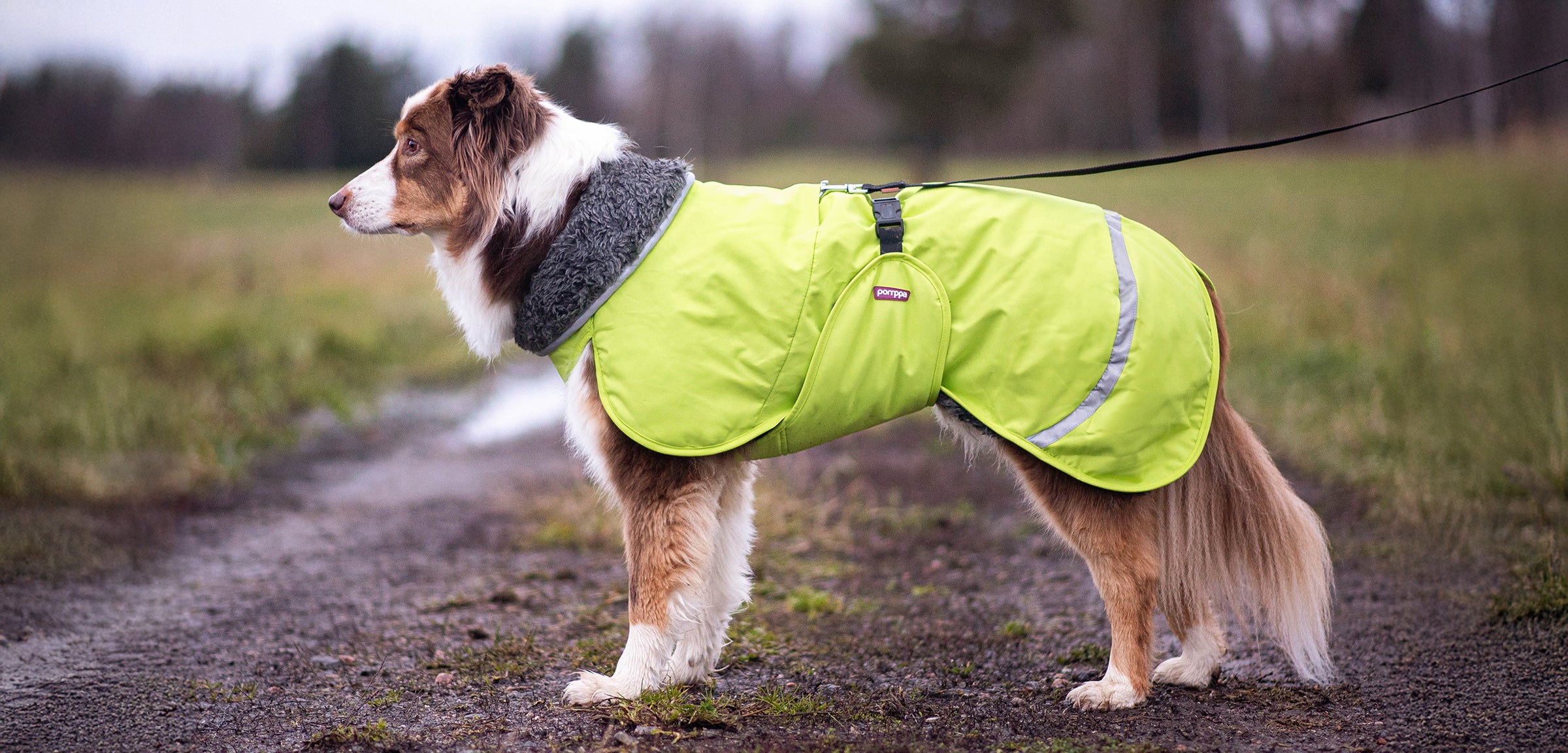 toppapomppa-forest-winter-coat-for-dogs